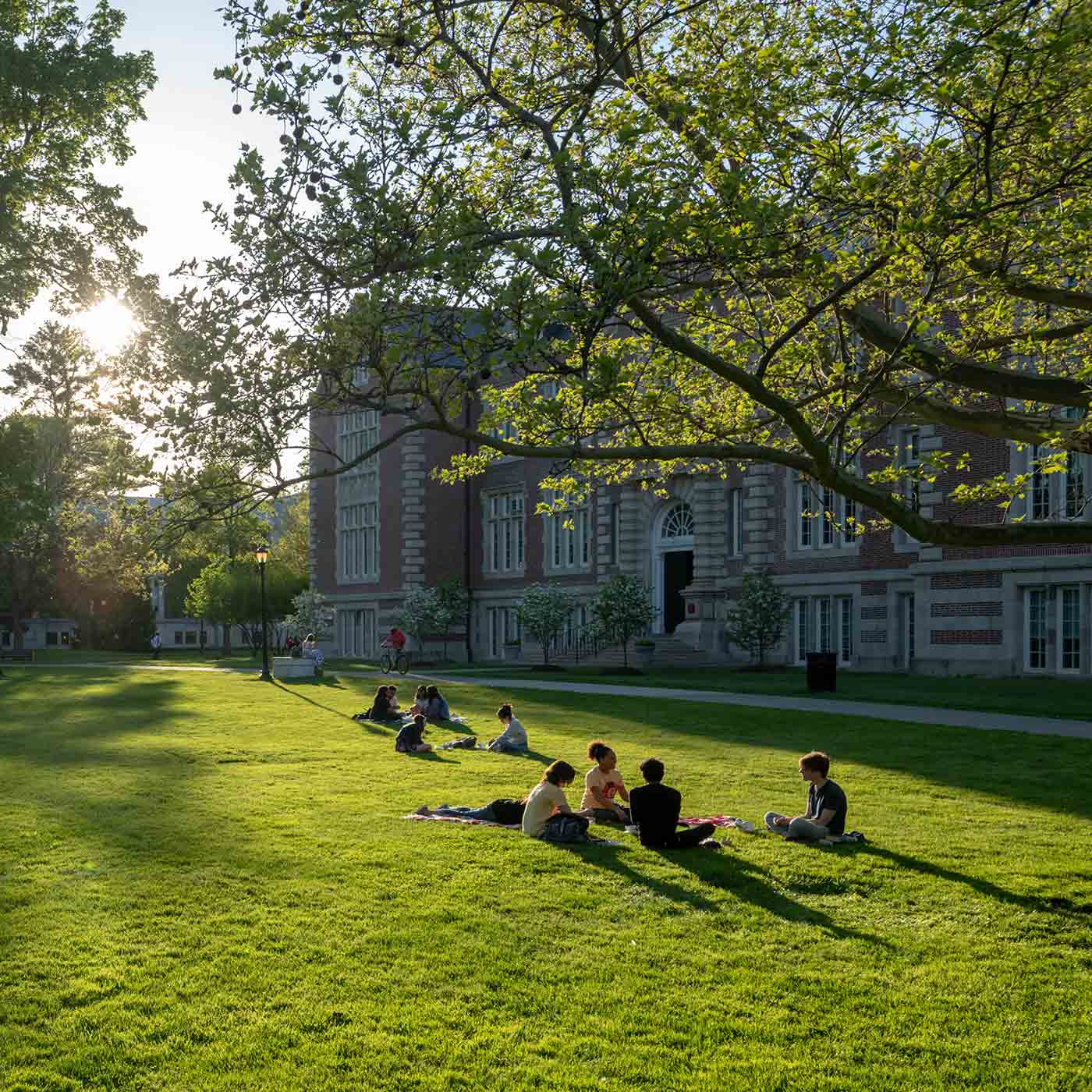 Students sit on the Thompson Memorial Library lawn in the late afternoon