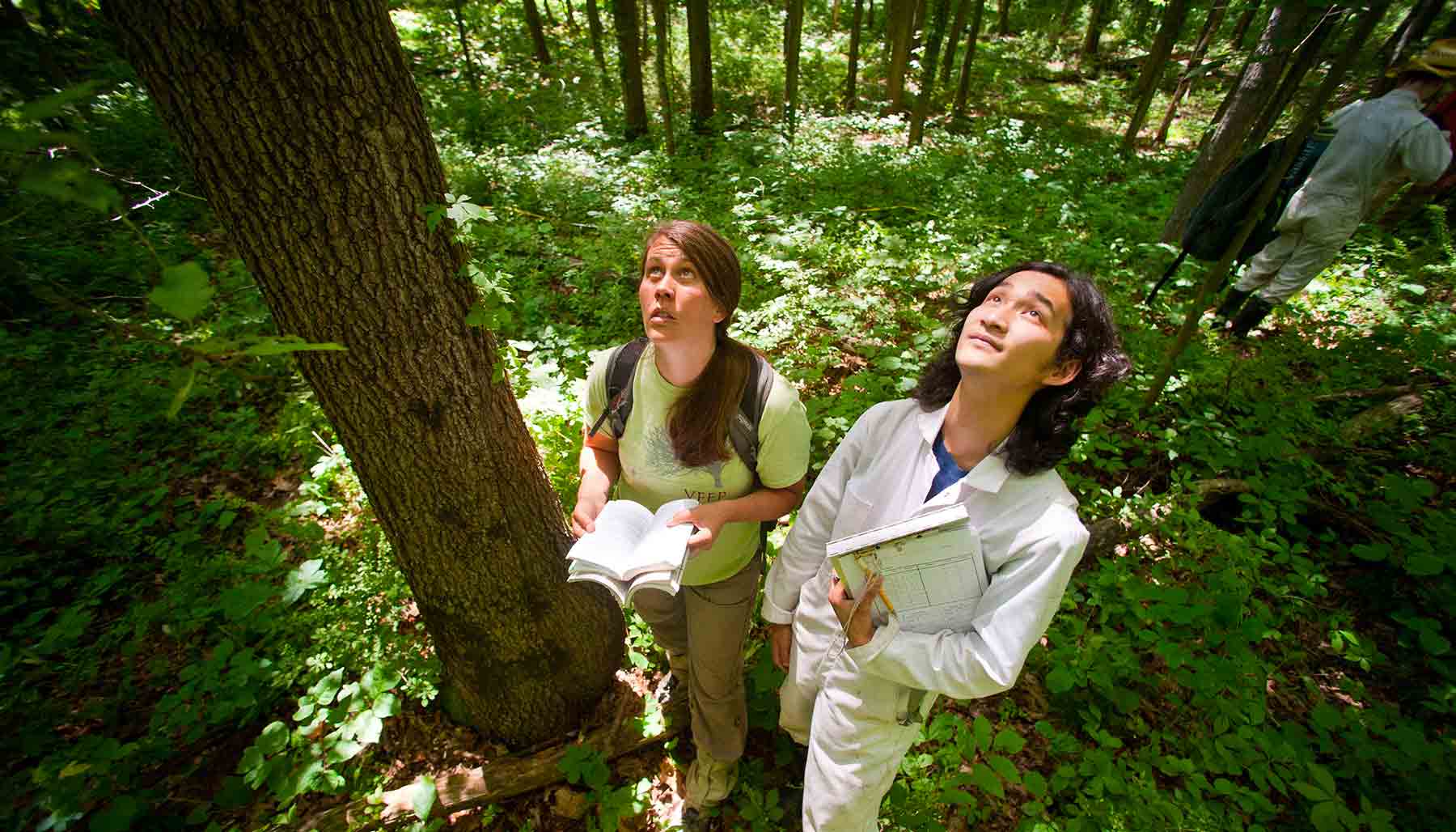 A faculty member and student stand in the woods looking up at a tree trunk