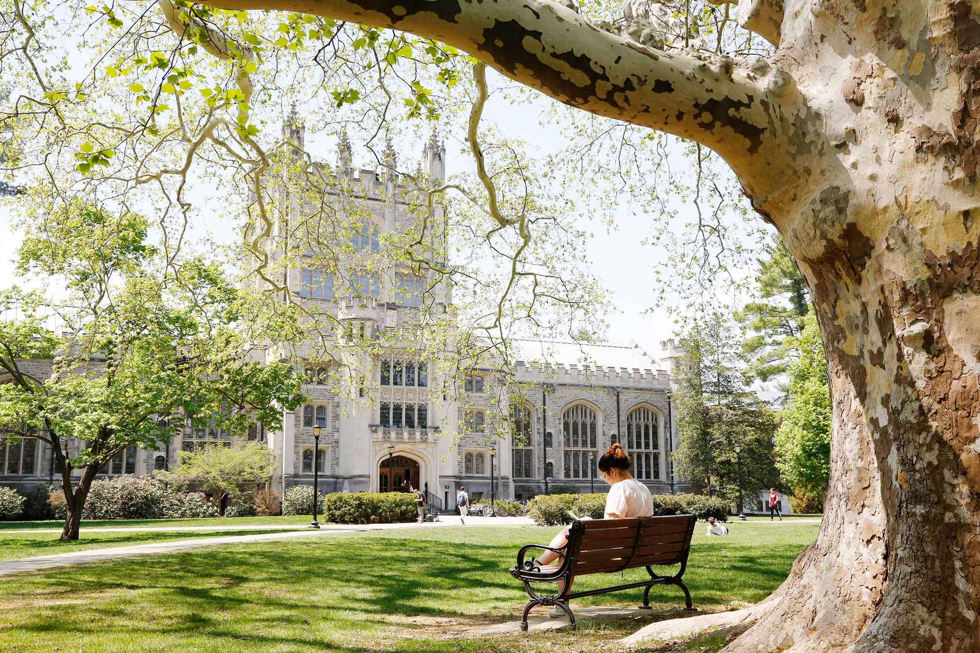 A person sits on a bench under a tree in front of the library