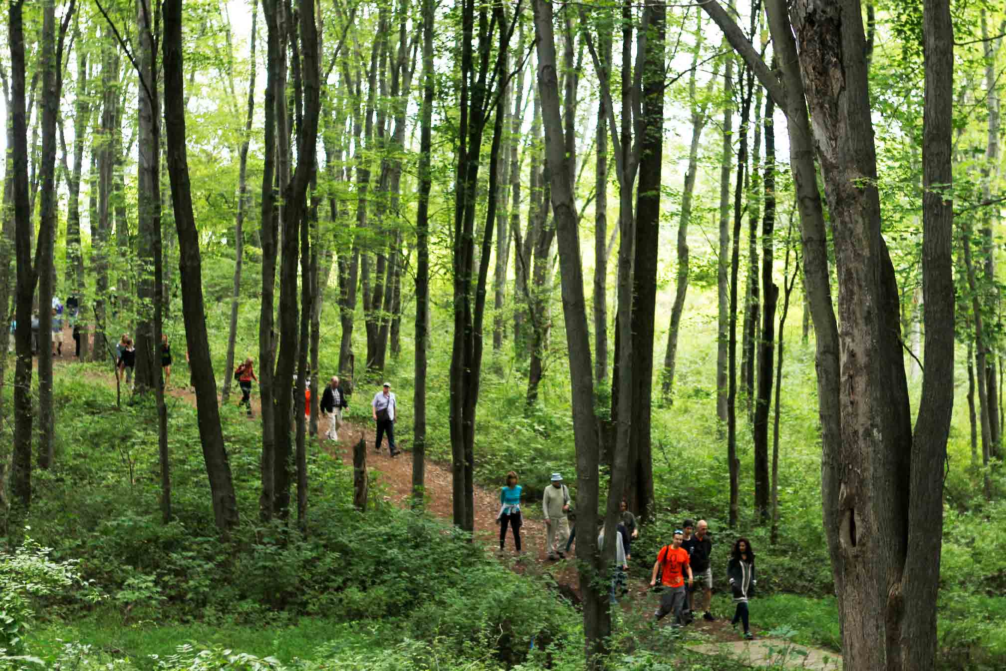 People using the hiking path at the Vassar Ecological Preserve