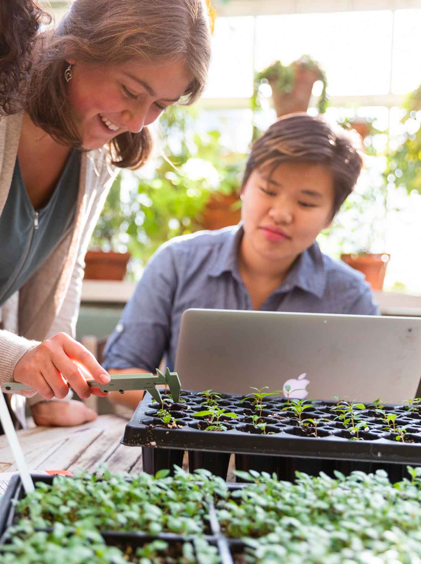 Students researching plants in a lab