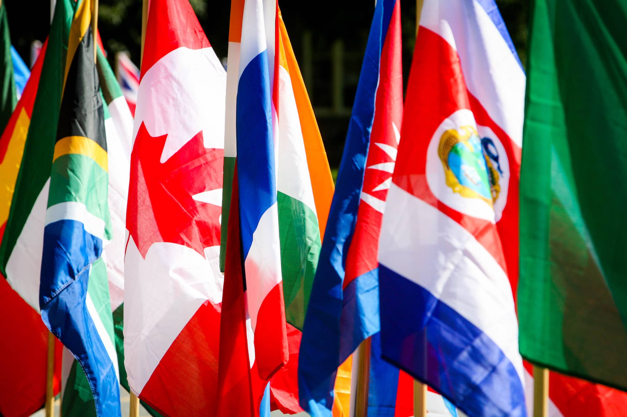 Detail of flags from different countries