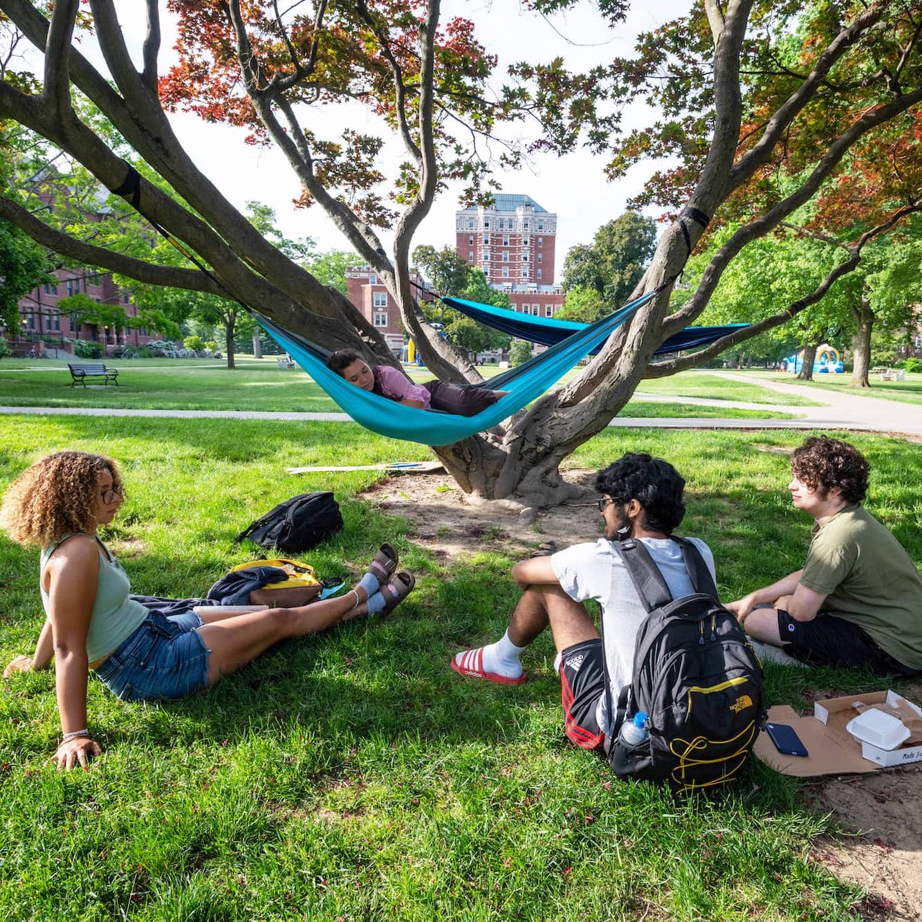 Three students relaxing on a green lawn under a tree.