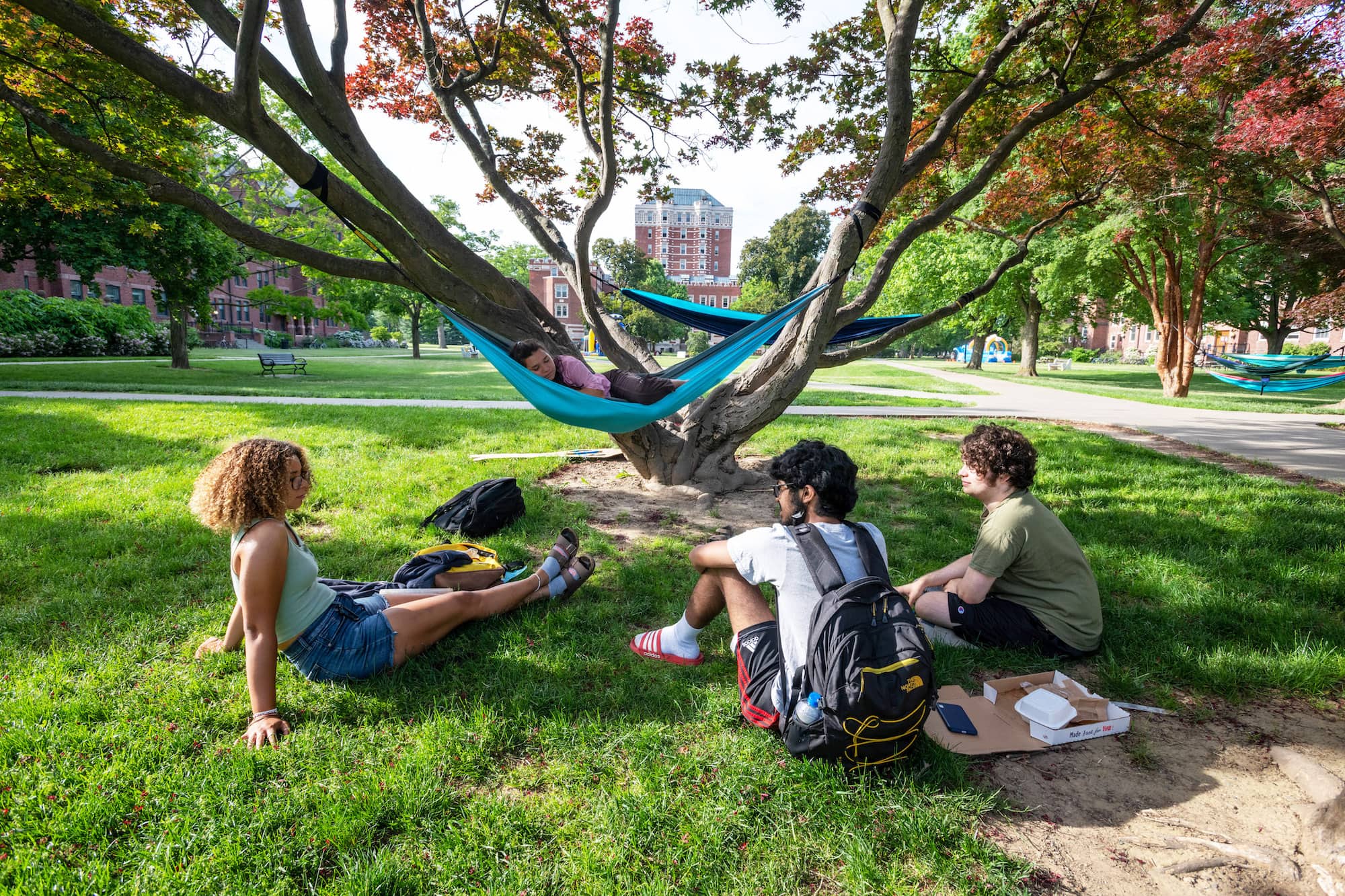 Three students relaxing on a green lawn under a tree.