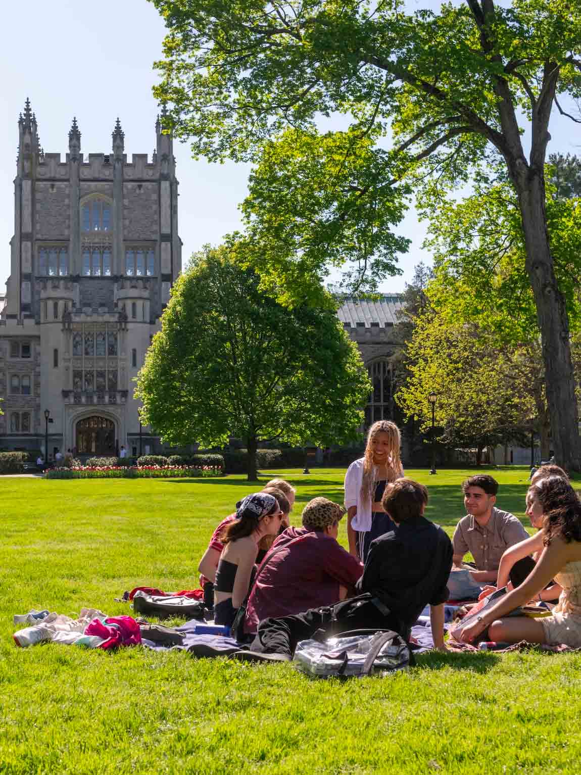 Students gather on the lawn in front of the library on a sunny day