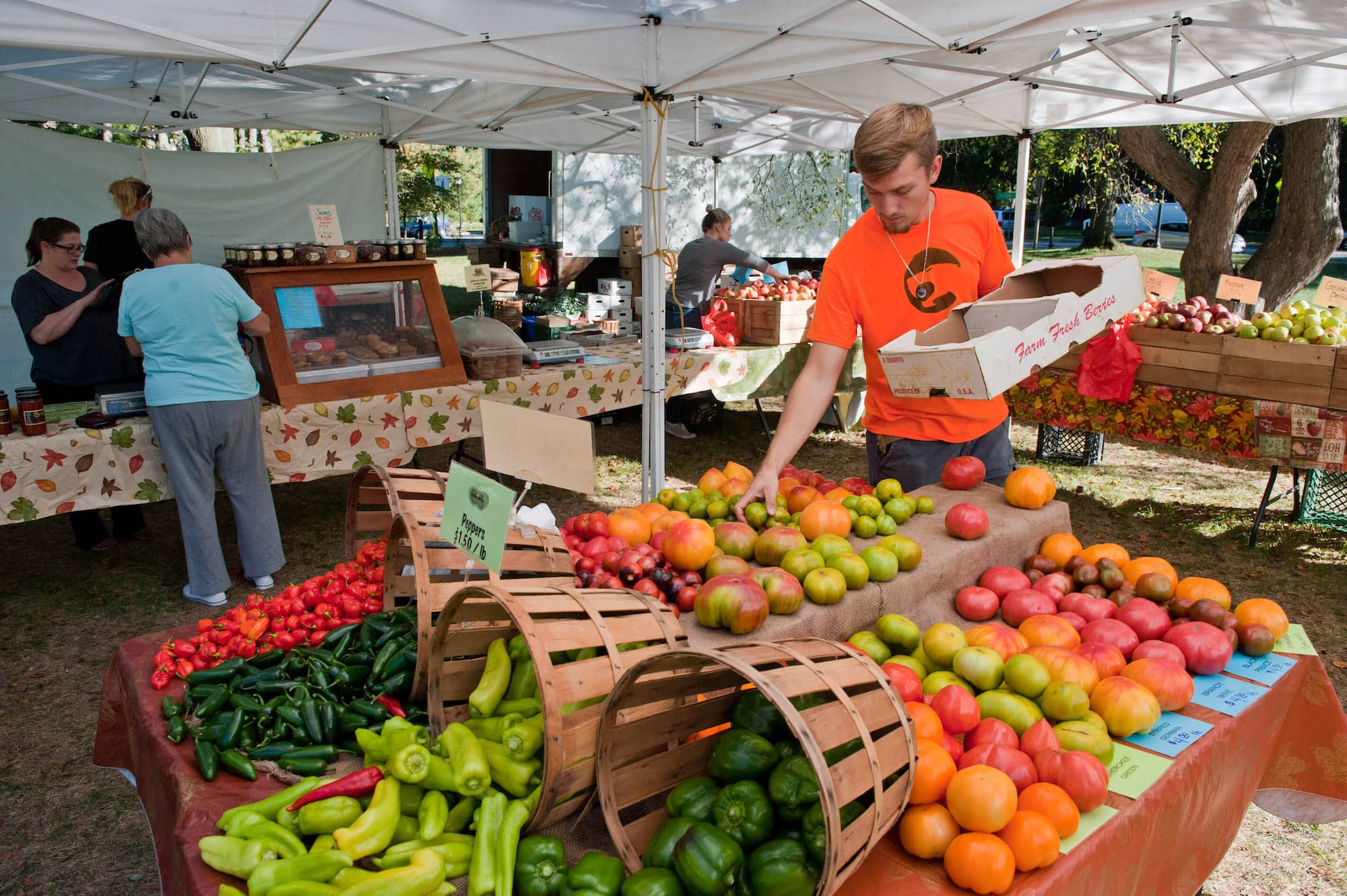 A person places fruit on a large table, under a large, outdoor tent.