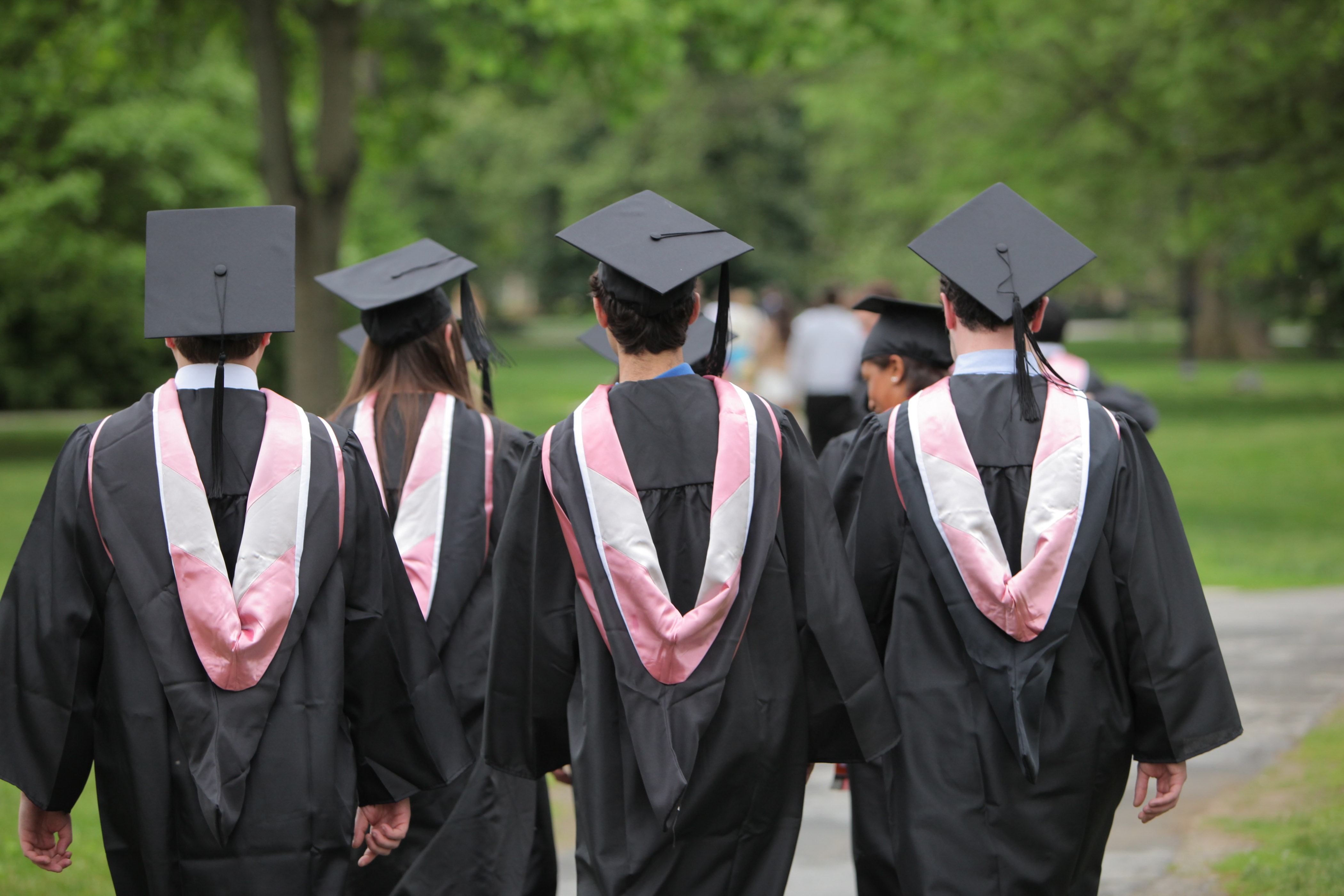 Group of graduates in gowns and mortarboards seen from the back