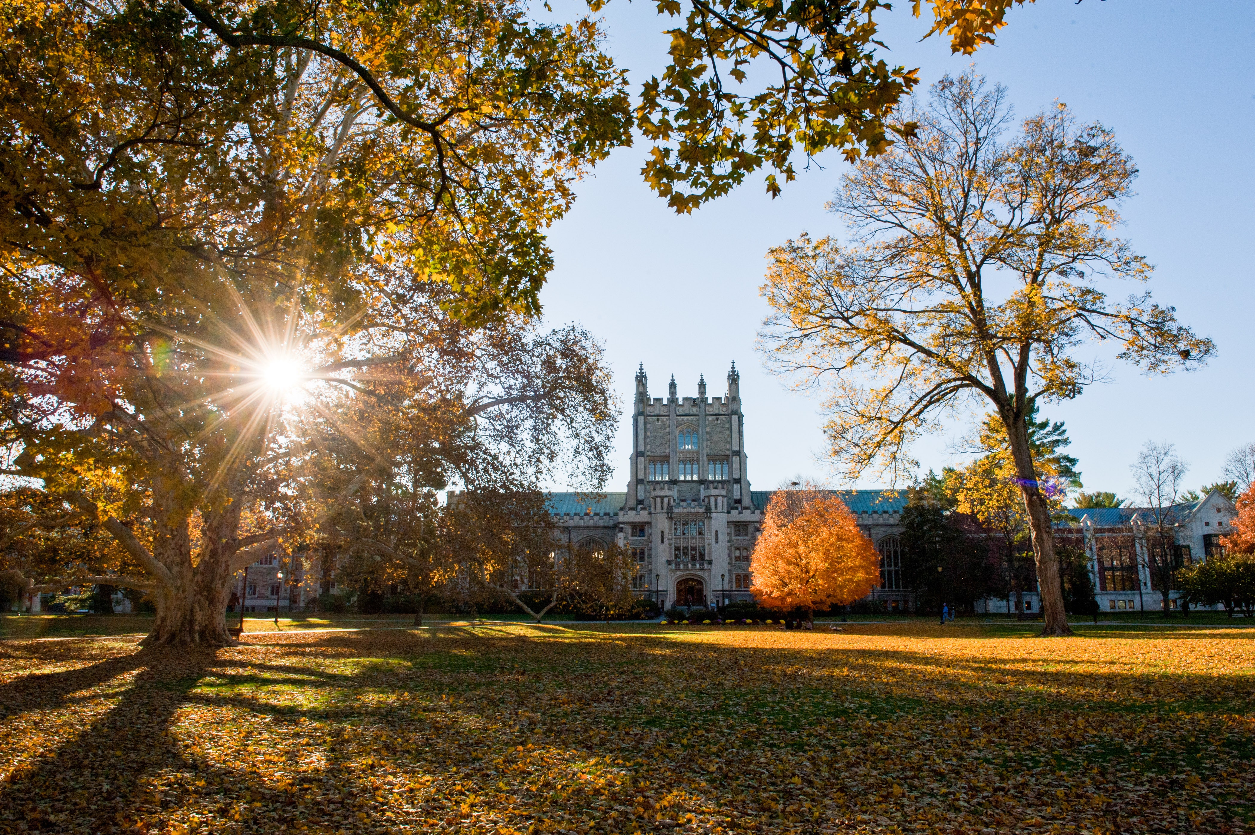 Late fall afternoon in front of Thompson Library on Vassar Campus and the sun is shining through the trees.