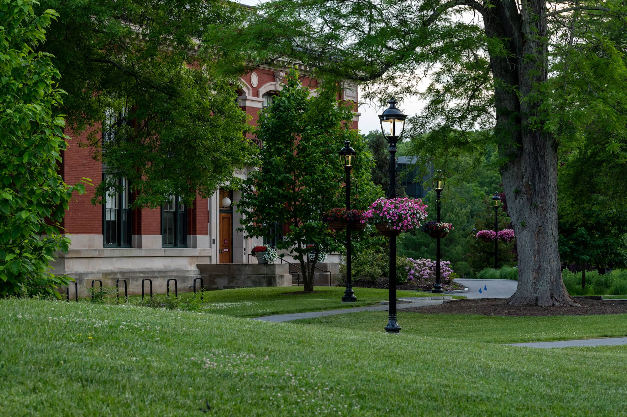 Flowers hanging from lamp posts and trees on Vassar Campus