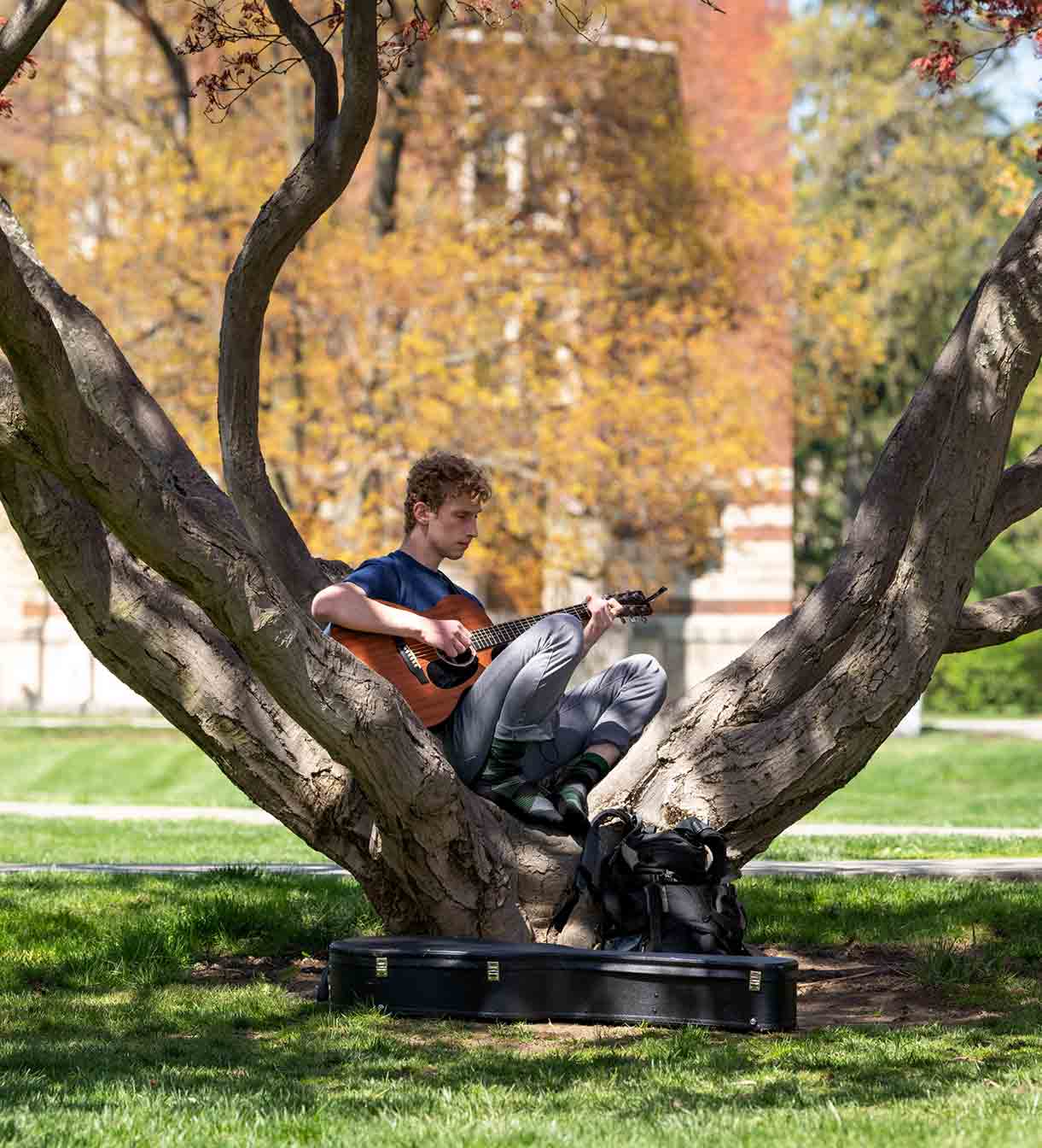 A student sits in a tree on a sunny day playing a guitar