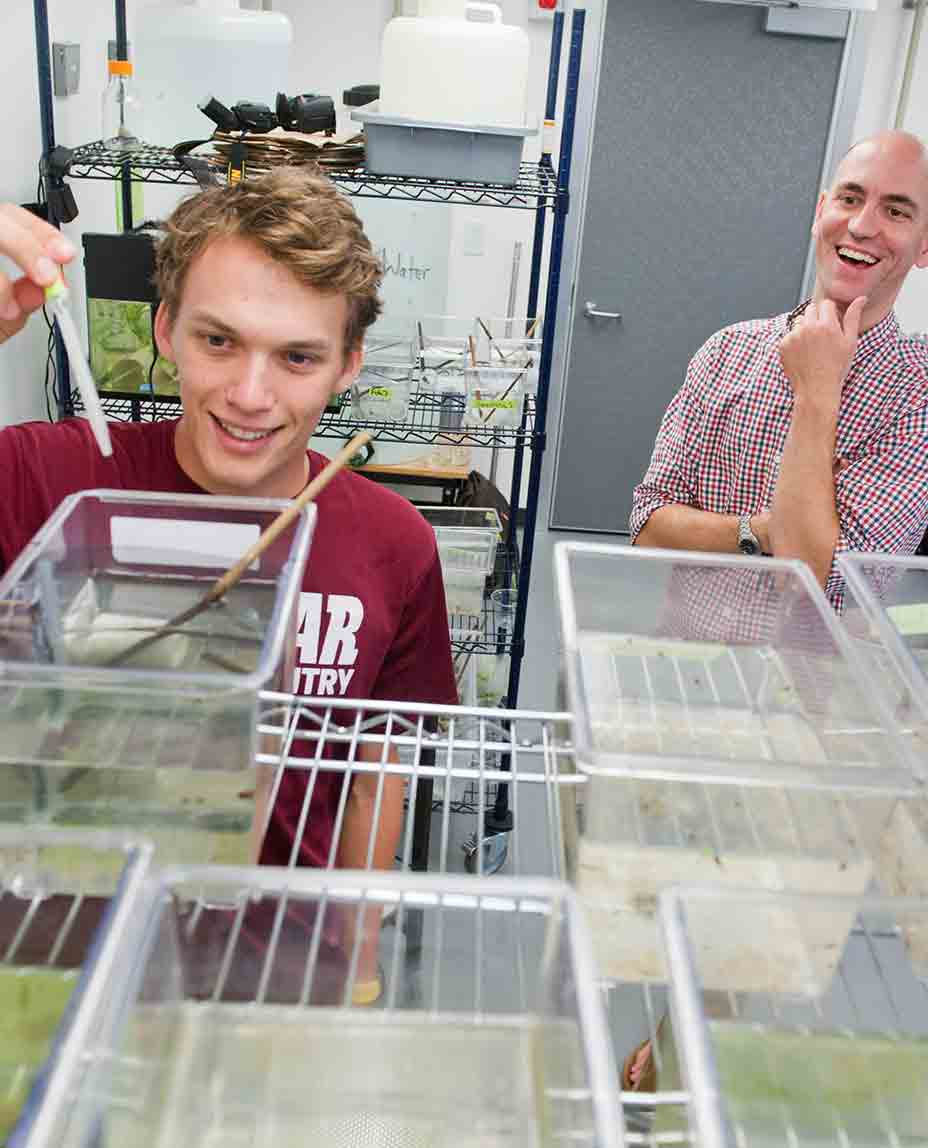 Student and professor in a lab of terrariums