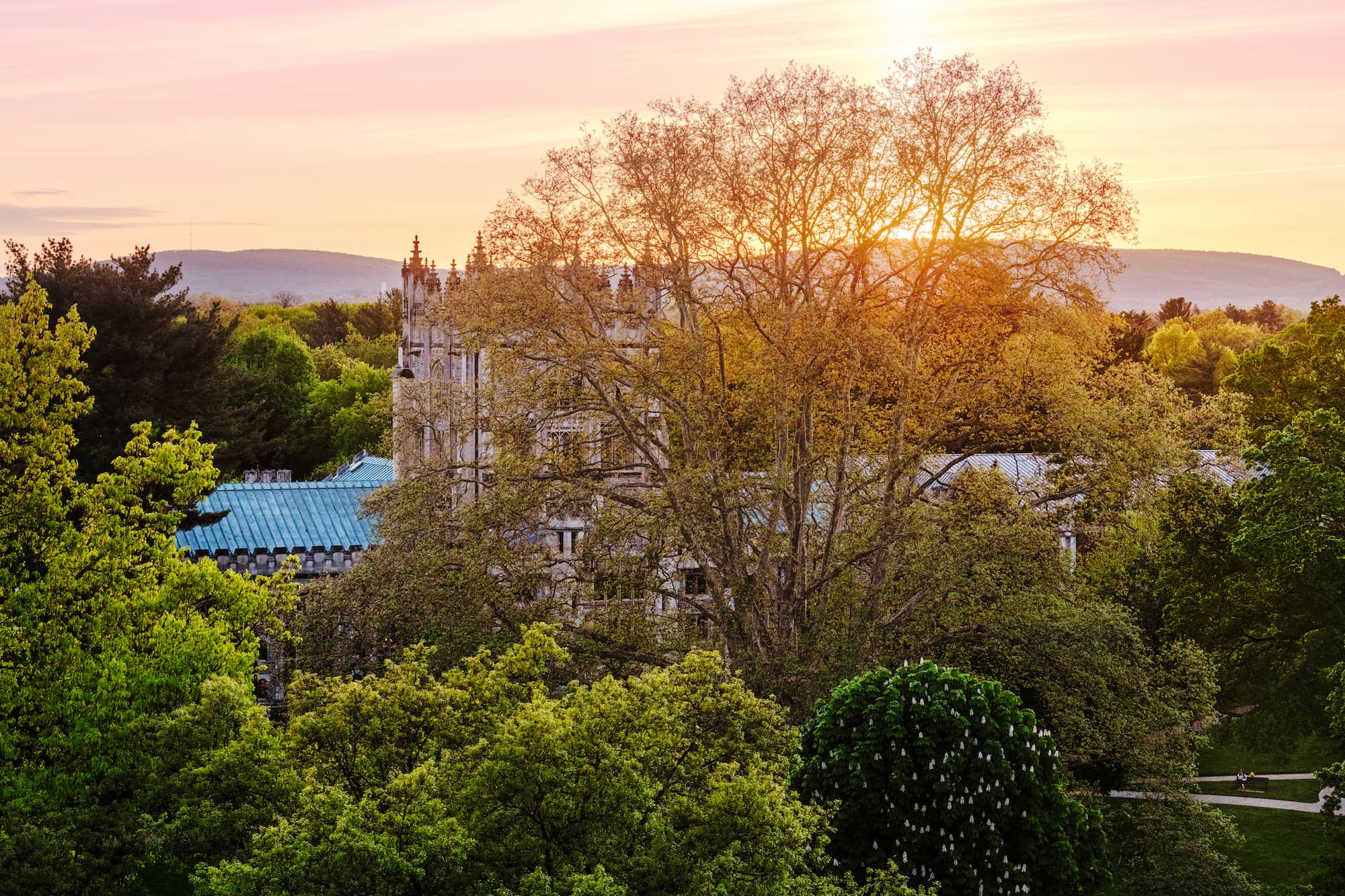 Sunset over Thompson Library on Vassar Campus