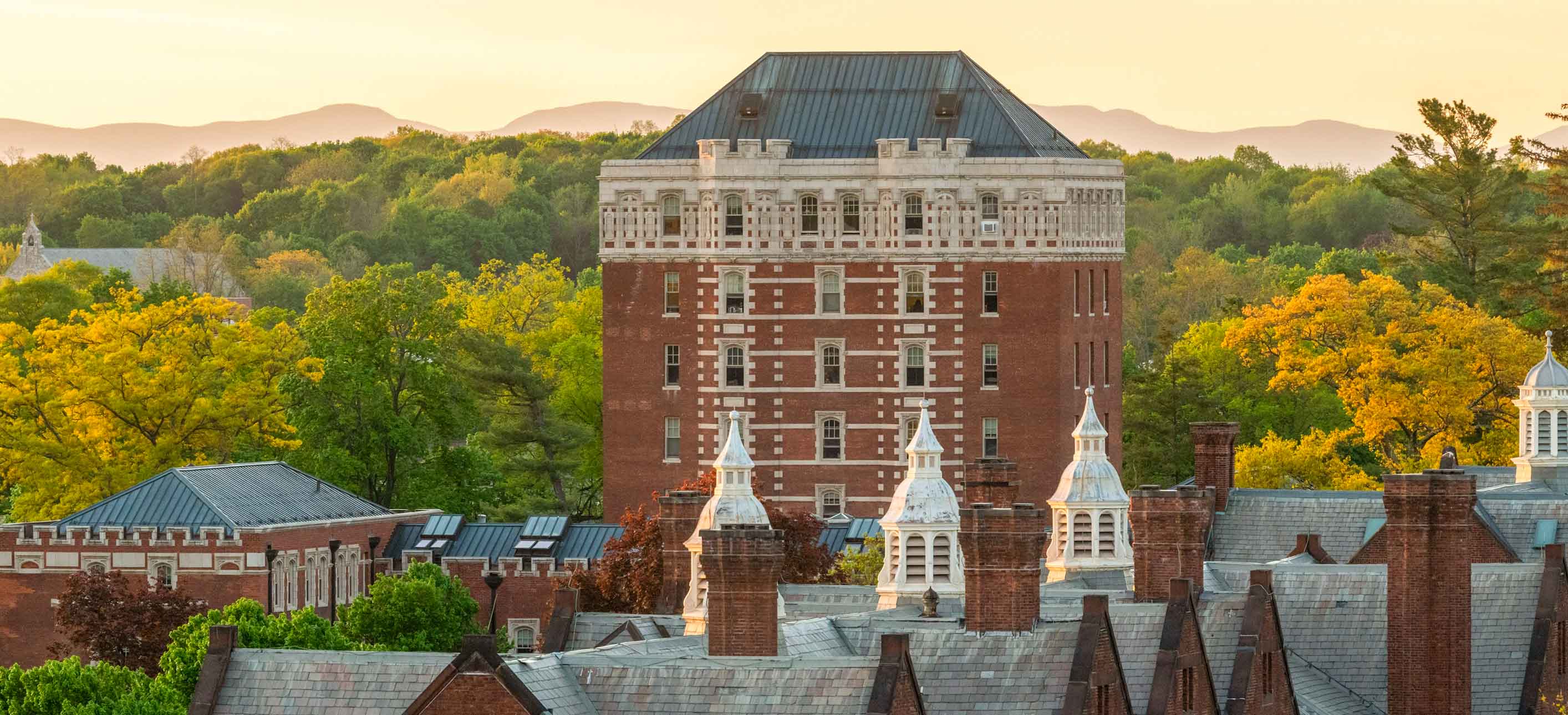 Aerial view of Jewett House, a tall brick building surrounded by trees.