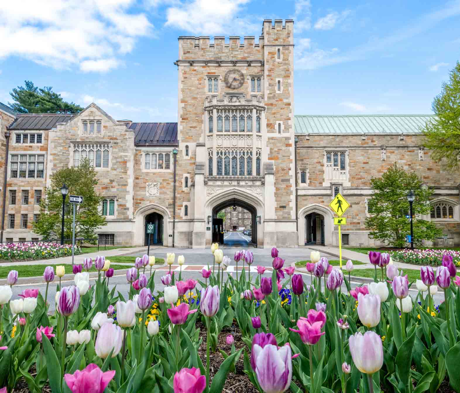 Spring View of Raymond Entrace and tulips on Vassar Campus