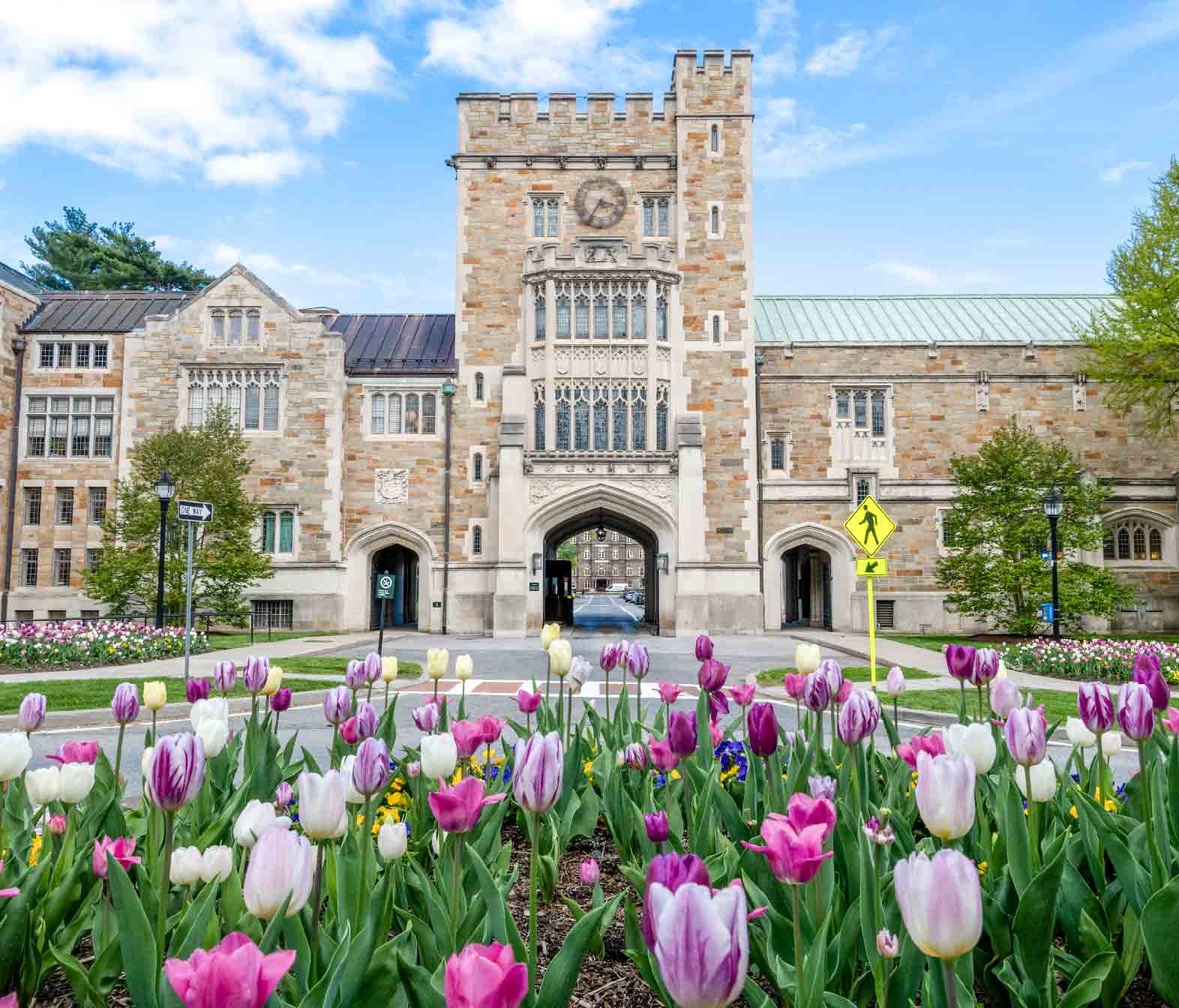 vassar campus tour