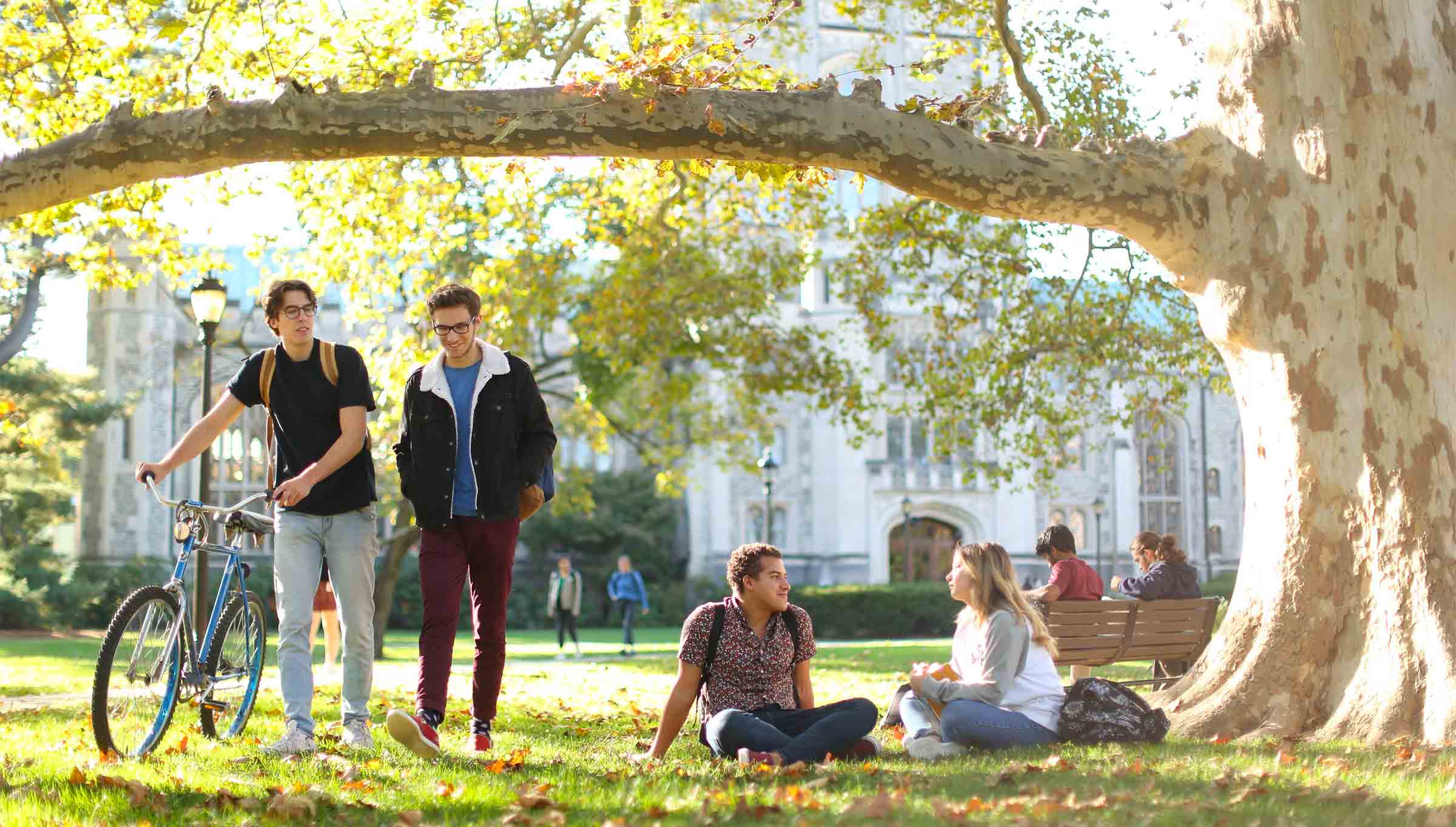 Students outside on the library lawn