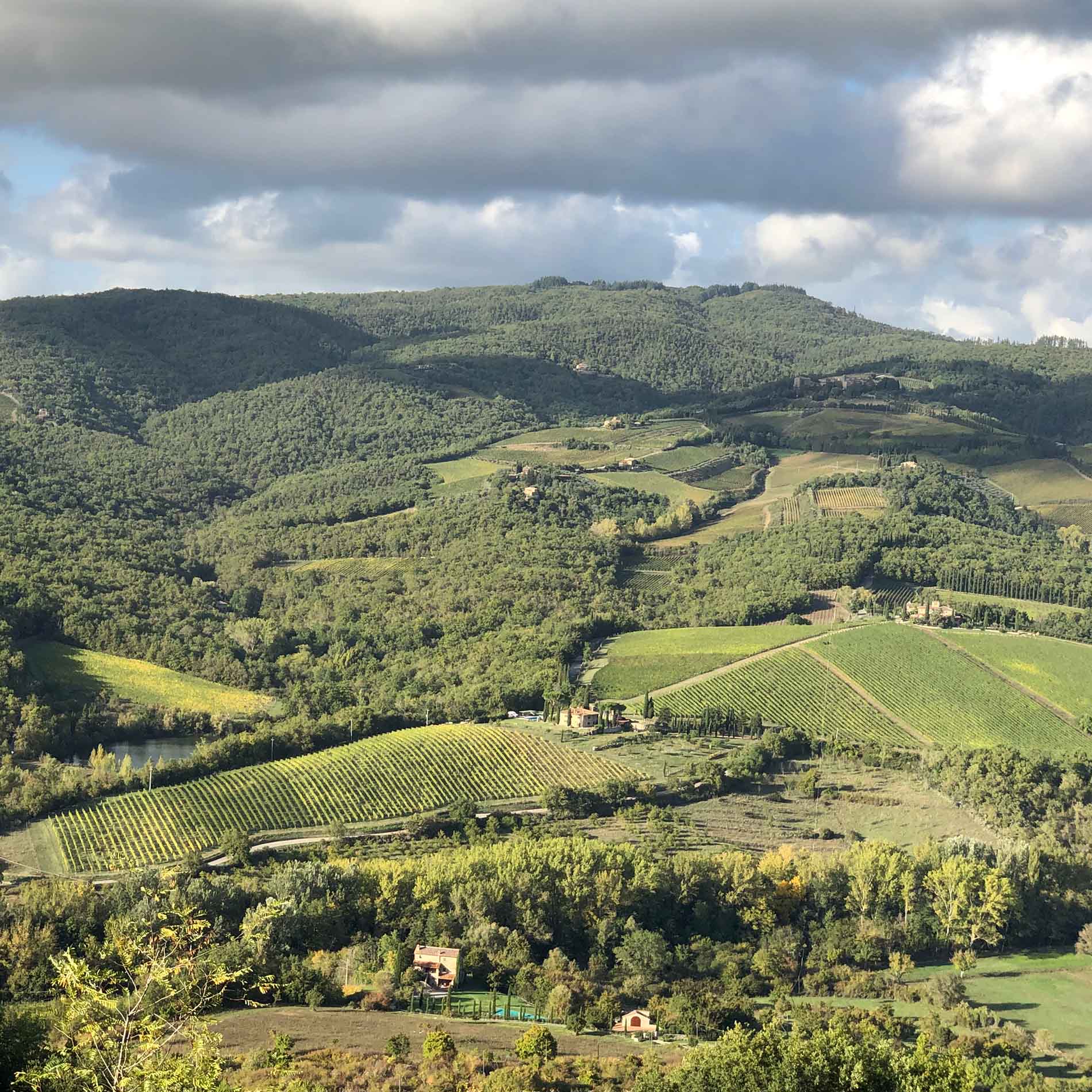 A sunny view of a green valley covered in vineyards and trees, with tree-covered hills rising in the background, with clouds in the sky overhead.