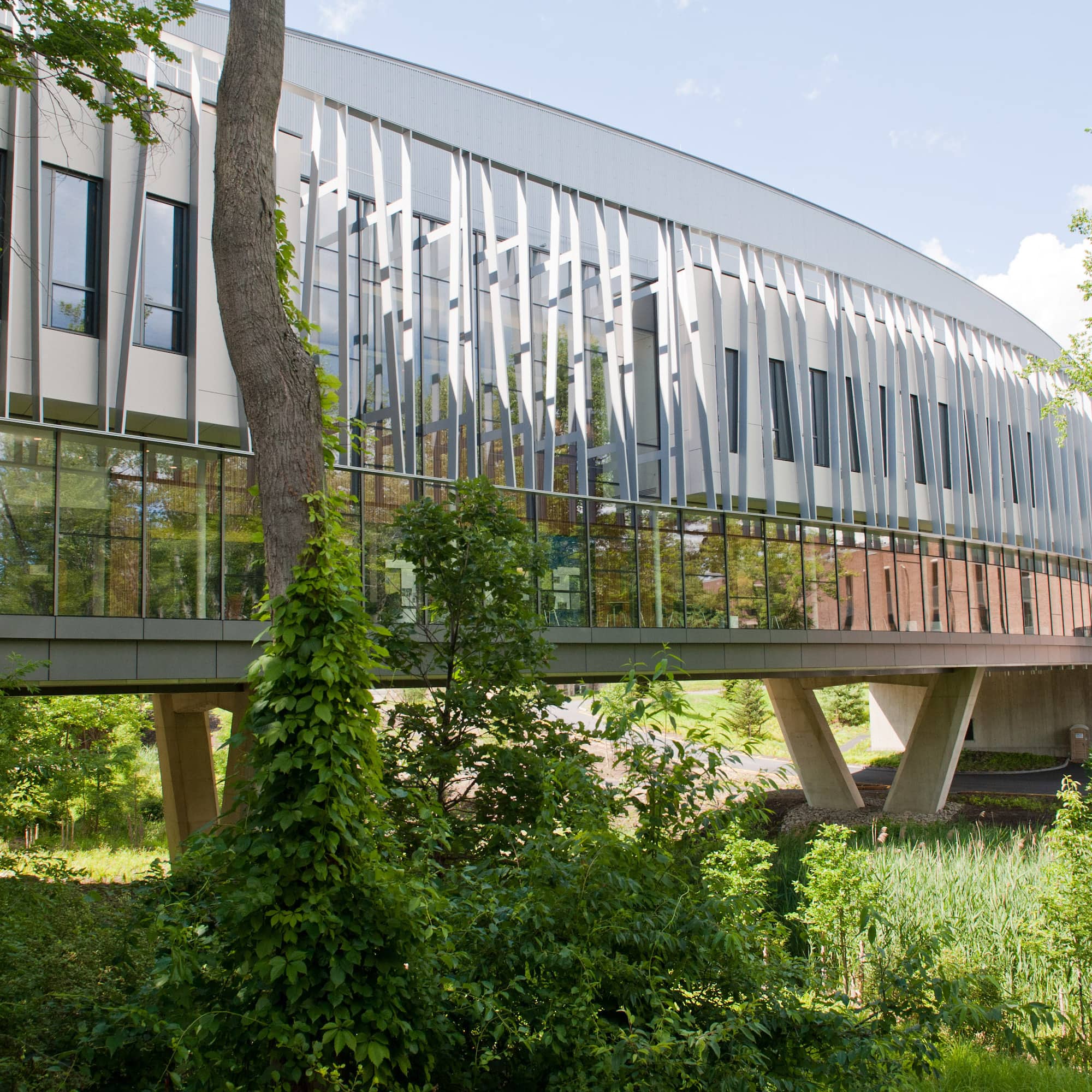 The Bridge for Laboratory Sciences, a large long building with huge windows standing elevated on angled pillars over greenery on the Vassar campus.
