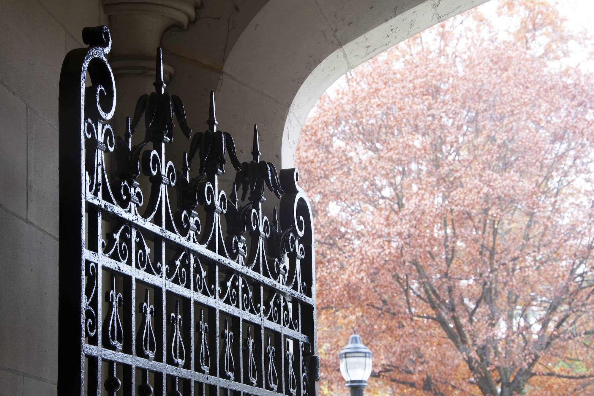 Interior view of a tall black metal gate inside an archway with a view of a brown-leaved tree beyond.