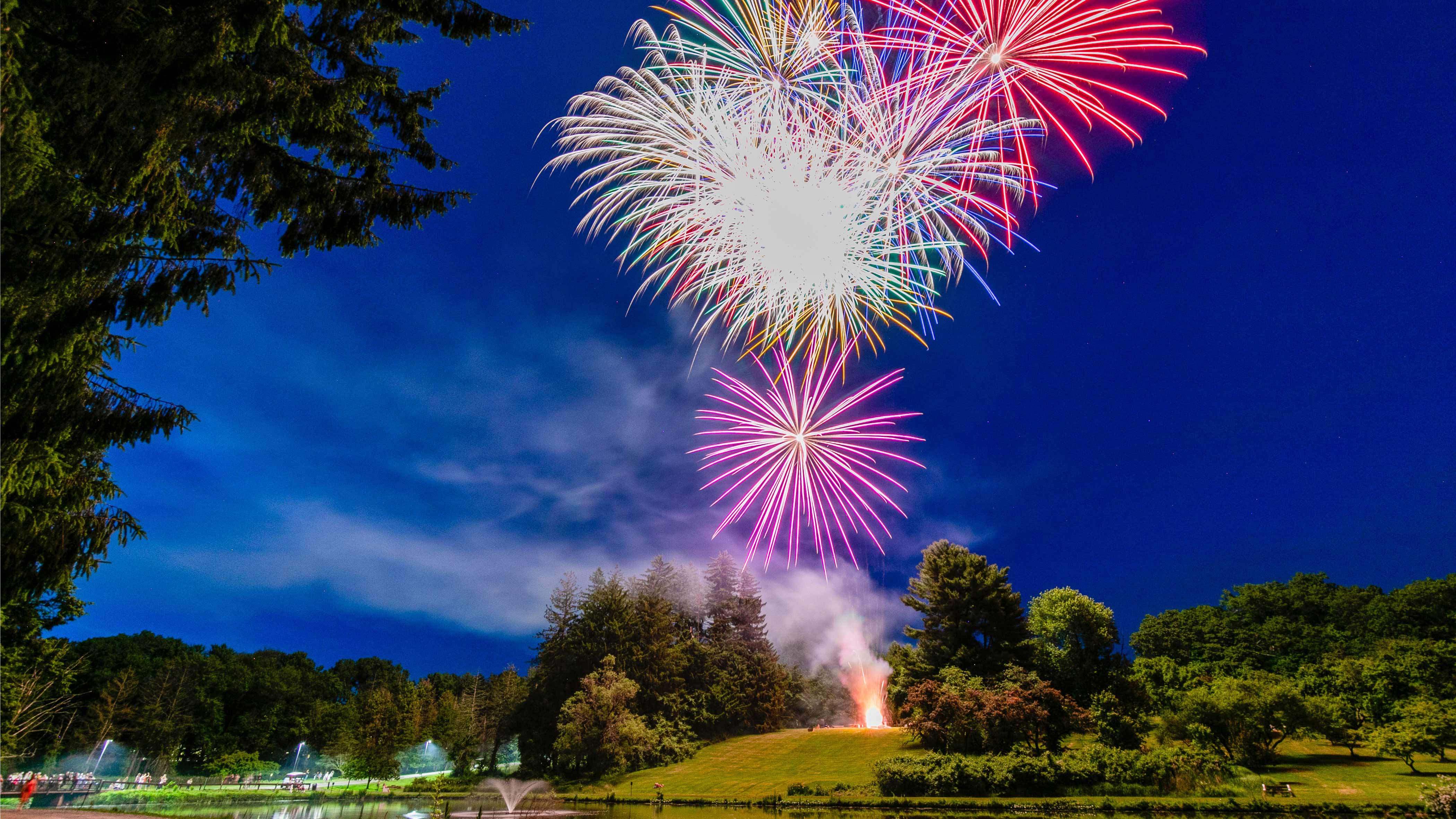 Fireworks in the night sky explode next to a lake, surrounded by greenery.