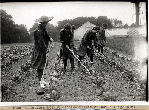 Student Farmers