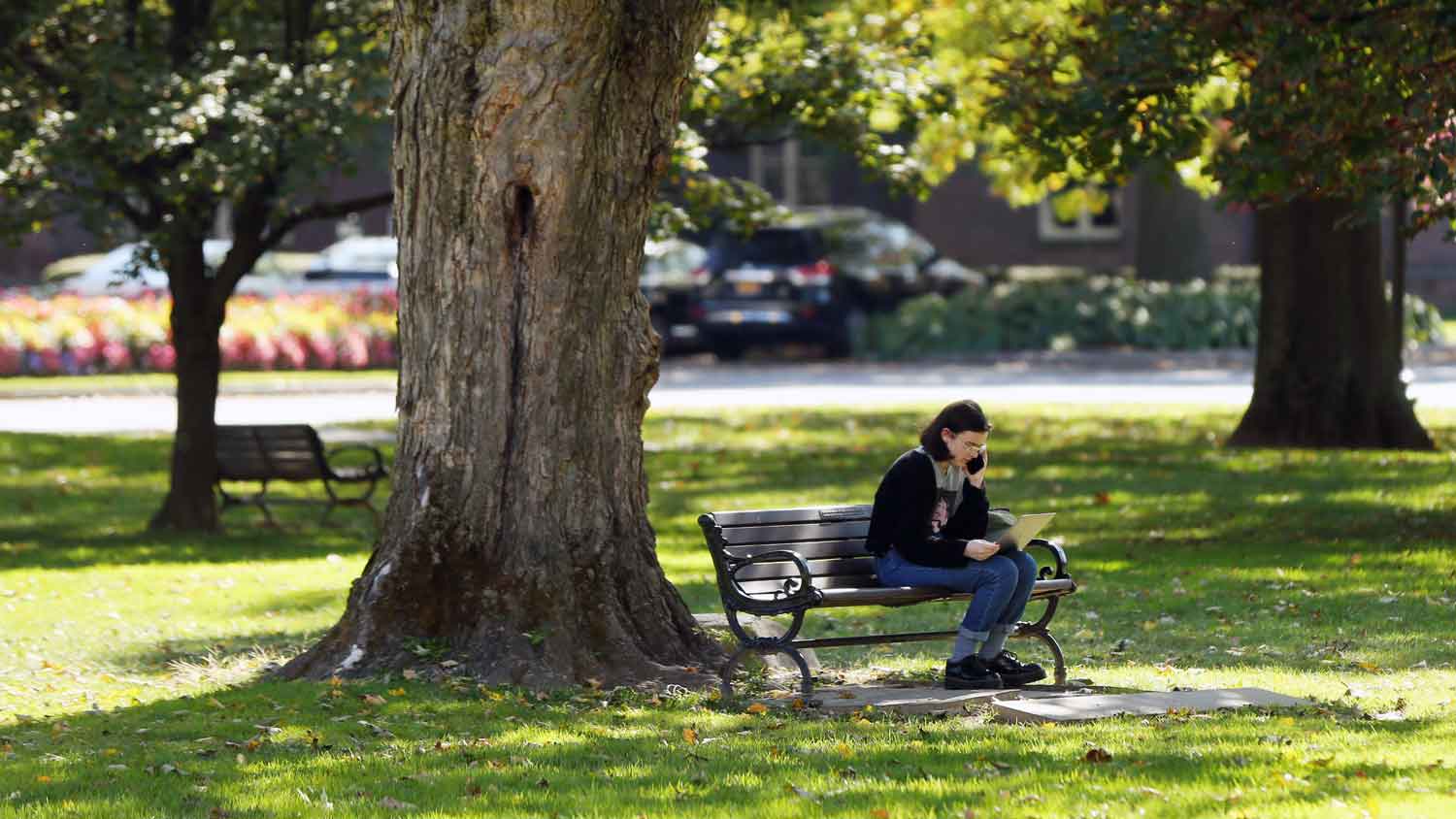 A student sits on a bench on the Library quad