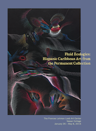 Fluid Ecologies: Hispanic Caribbean Art from the Permanent Collection.