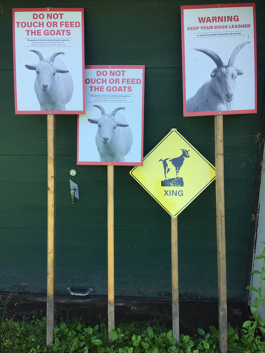 Land Management Goat Signs