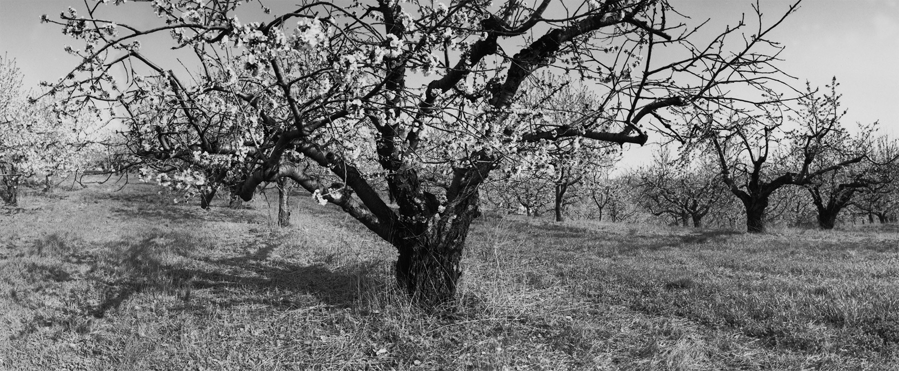 Landscape photo by Eric Lindbloom