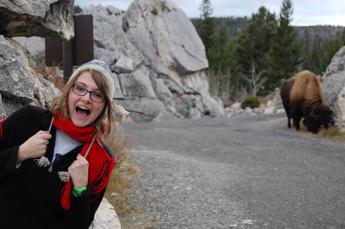 Wildlife in Yellowstone National Park