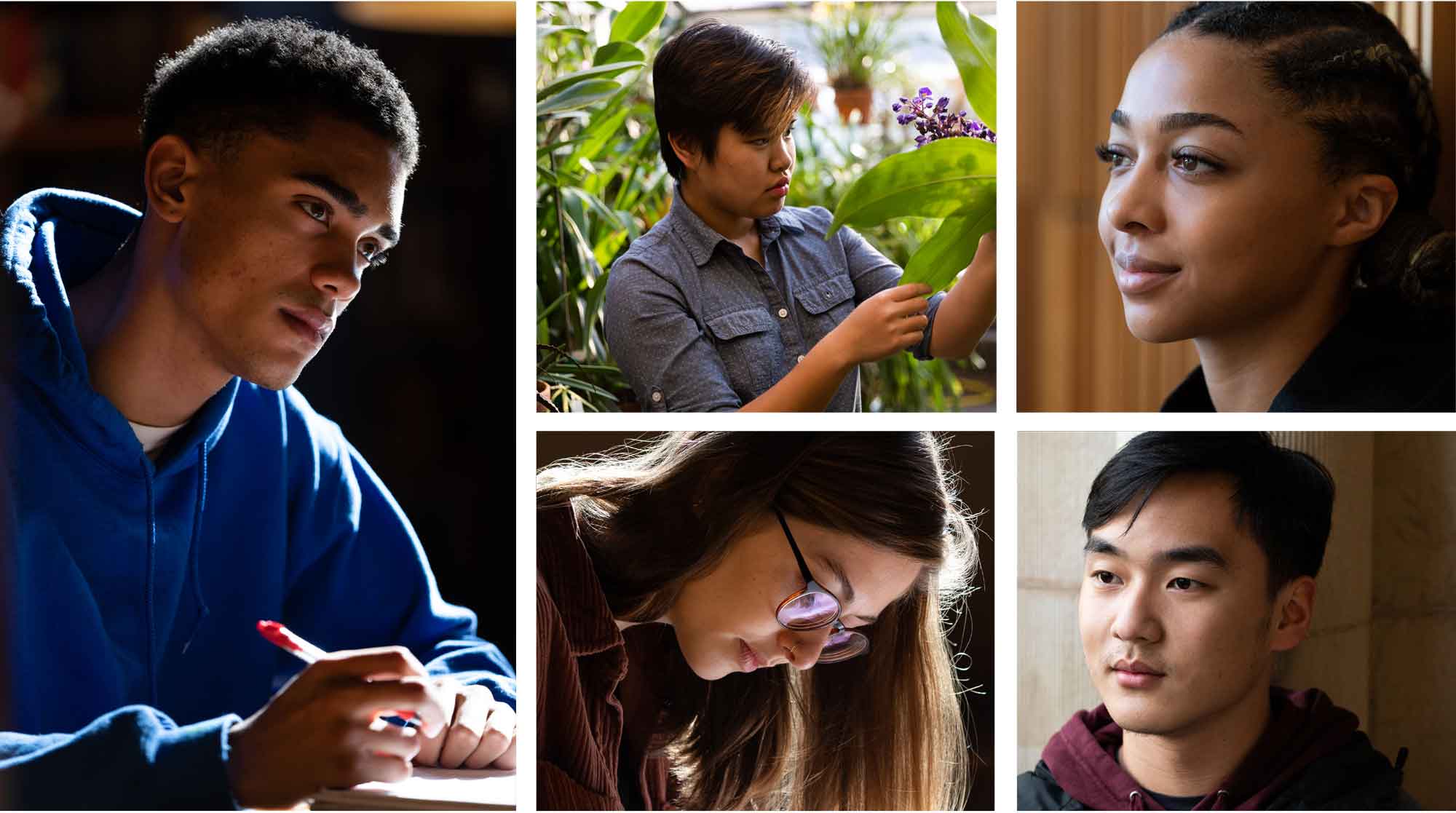 A collage of 5 different photos each showing an a headshots of individuals looking away from the camera with focused or contemplative expressions on their faces