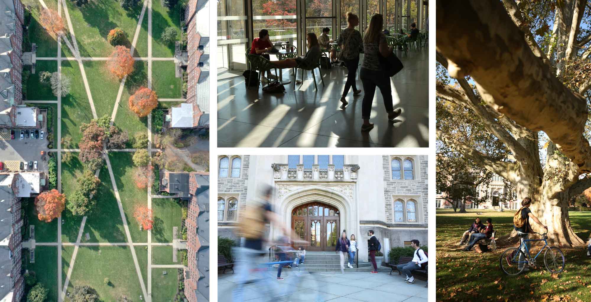 Photo collage of scenic views from Vassar campus both inside and out