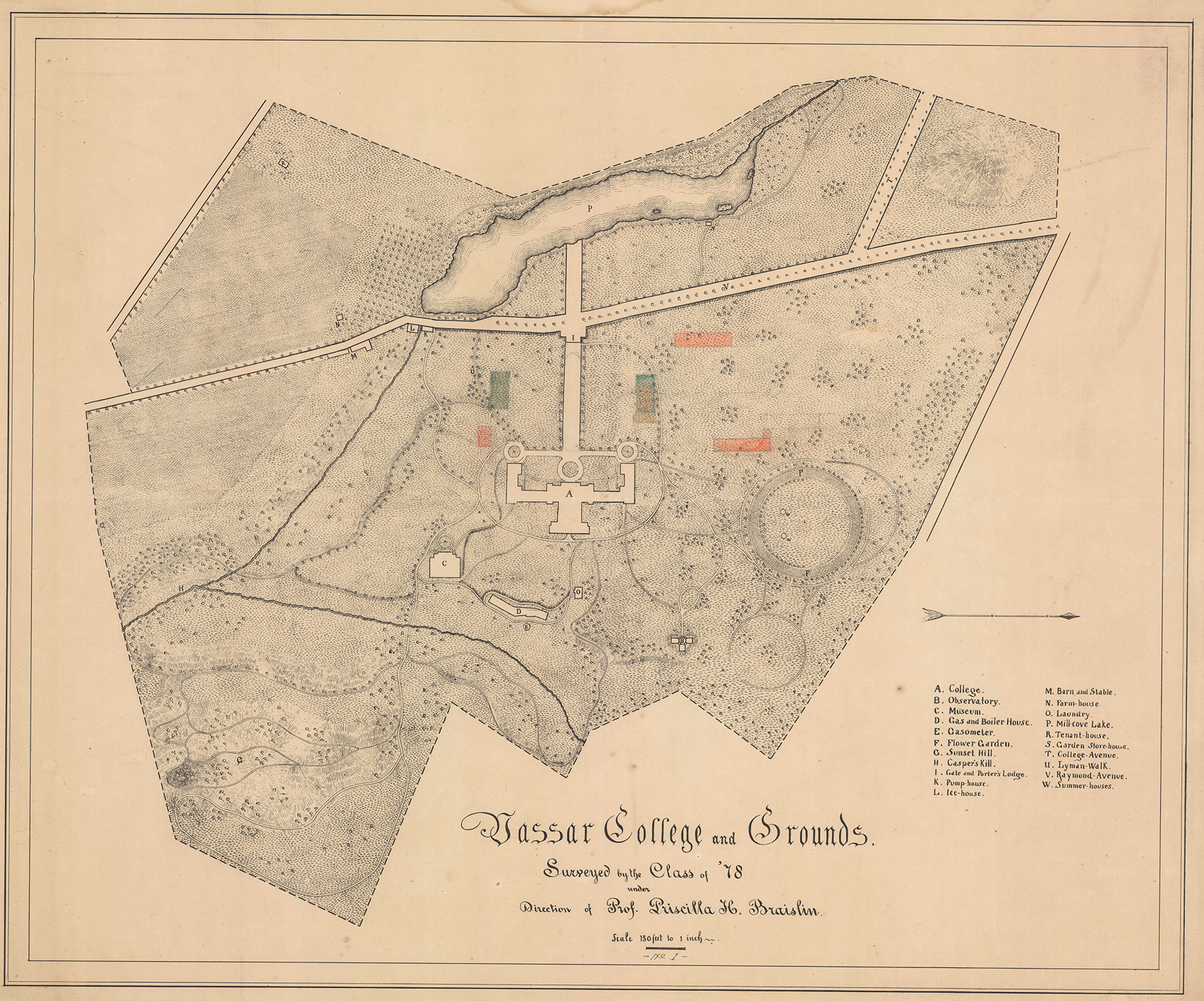 J. C. Olmsted advised on the expansion of the campus in 1896, recommending the placement of “working buildings” on either side of Main Drive to form a quadrangle, and discussing the placement and configuration of the Dorm Quad. On this topographic map, prepared by the Vassar Class of 1878, Olmsted sketched in sites for working buildings in green, and residential buildings in red. (Courtesy of the United States Department of the Interior, National Park Service, Frederick Law Olmsted National Historic Site)