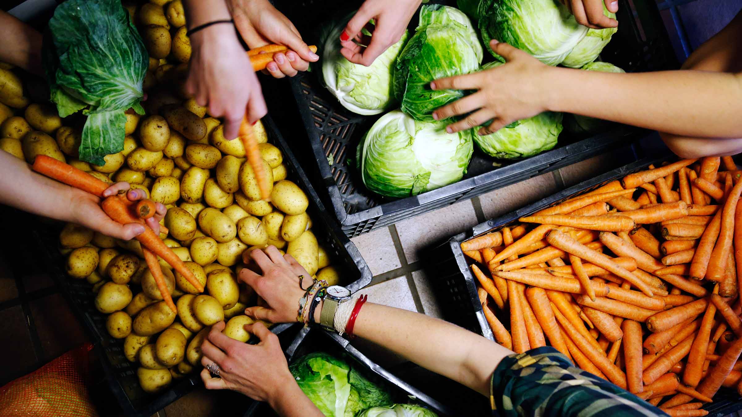 Several hands grabbing vegetables