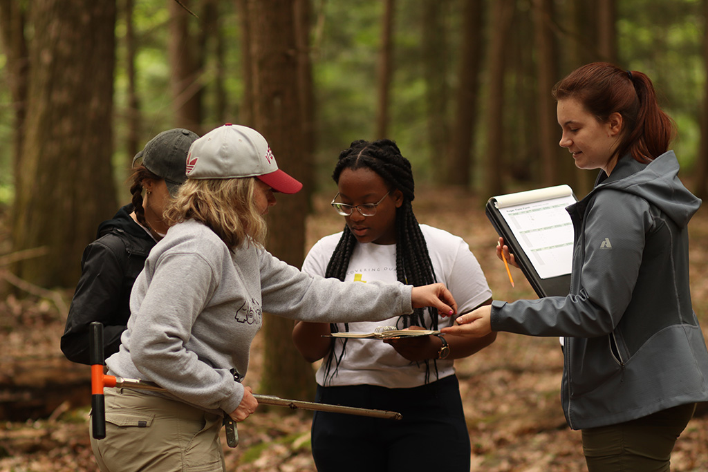 Soil cataloging at Ashokan Center. Digital photo by Ovi Horta at the Ashokan Center.