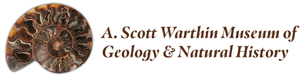 Nautilus Shell and the words: A. Scott Warthin Museum of Geology & Natural History
