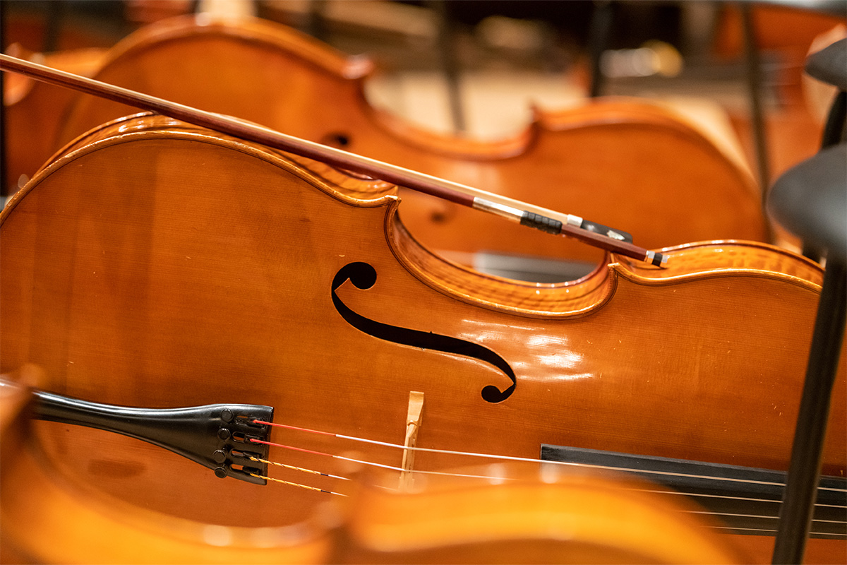 Closeup of cellos lying on their sides.