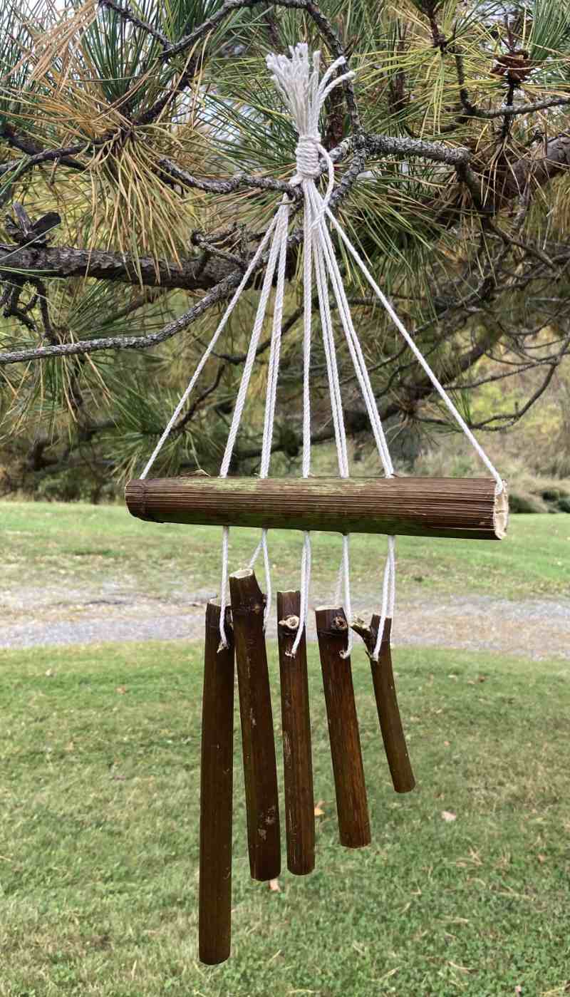 A windchime made using Japanese Knotweed hanging from a tree on the preserve at Vassar.