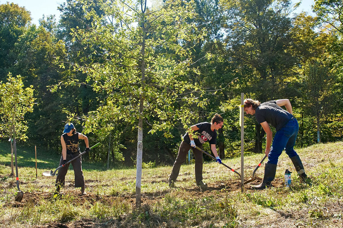 People working with shovels in the ground around newly planted trees out in a field with the woods as a backdrop.