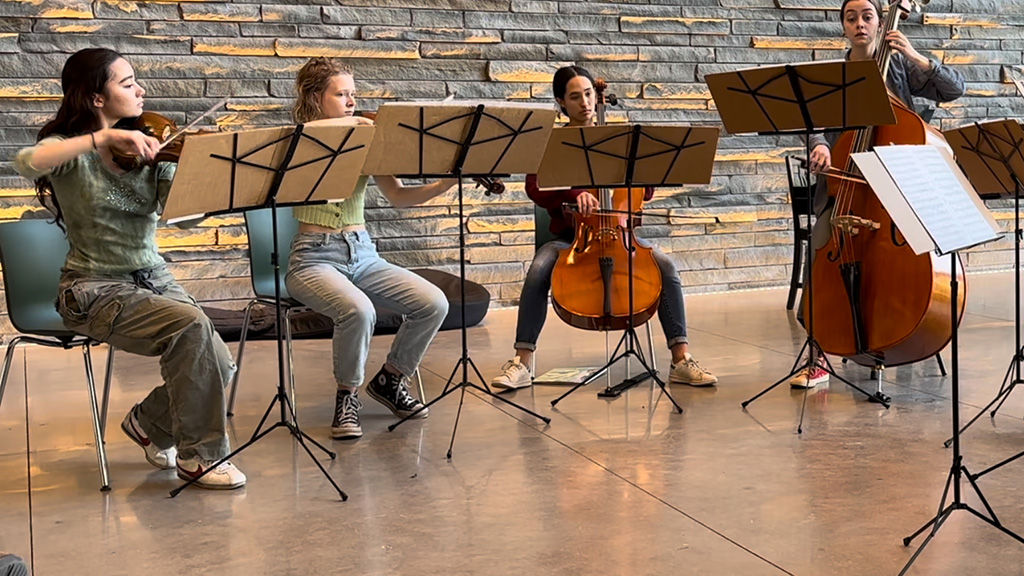 A string and wind ensemble performing, seated.