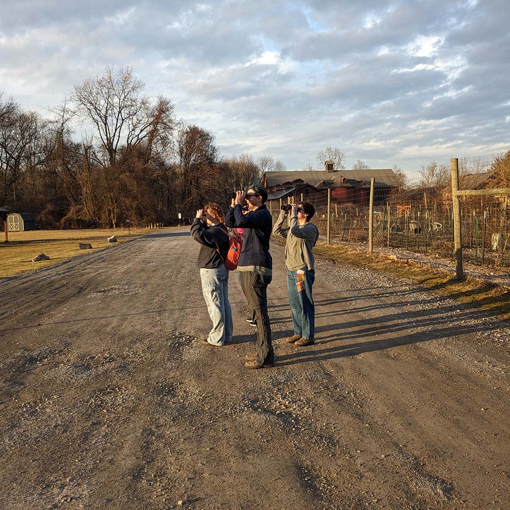 A group of people standing on a dirt road looking through binoculars.