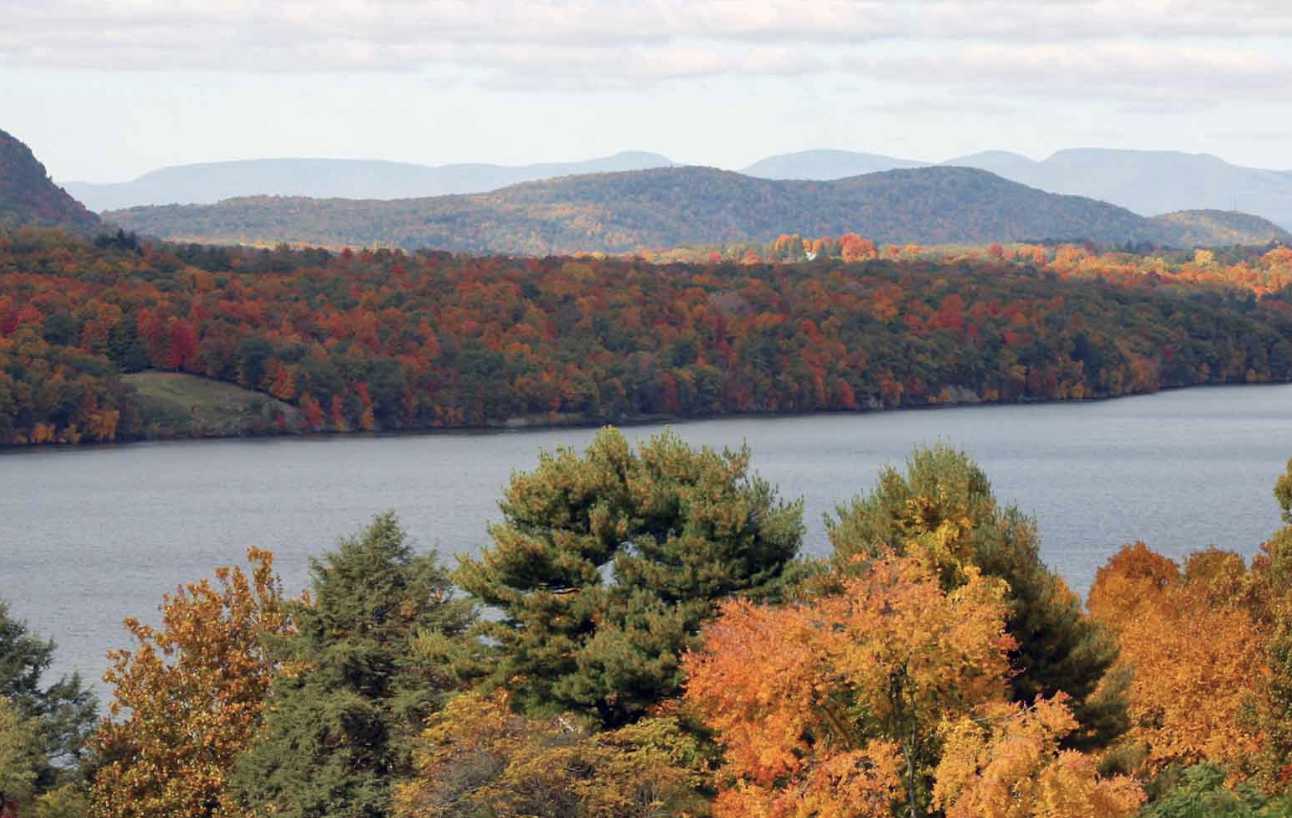 River foliage in the Hudson Valley.