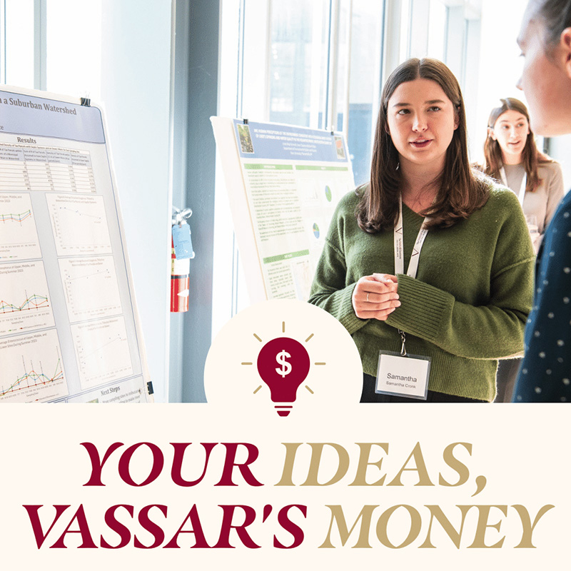 A picture with two people standing looking at a graphic display board. A graphic of a light bulb with a dollar sign in it is under the image with a caption that reads, "Your Ideas, Vassar's Monet."