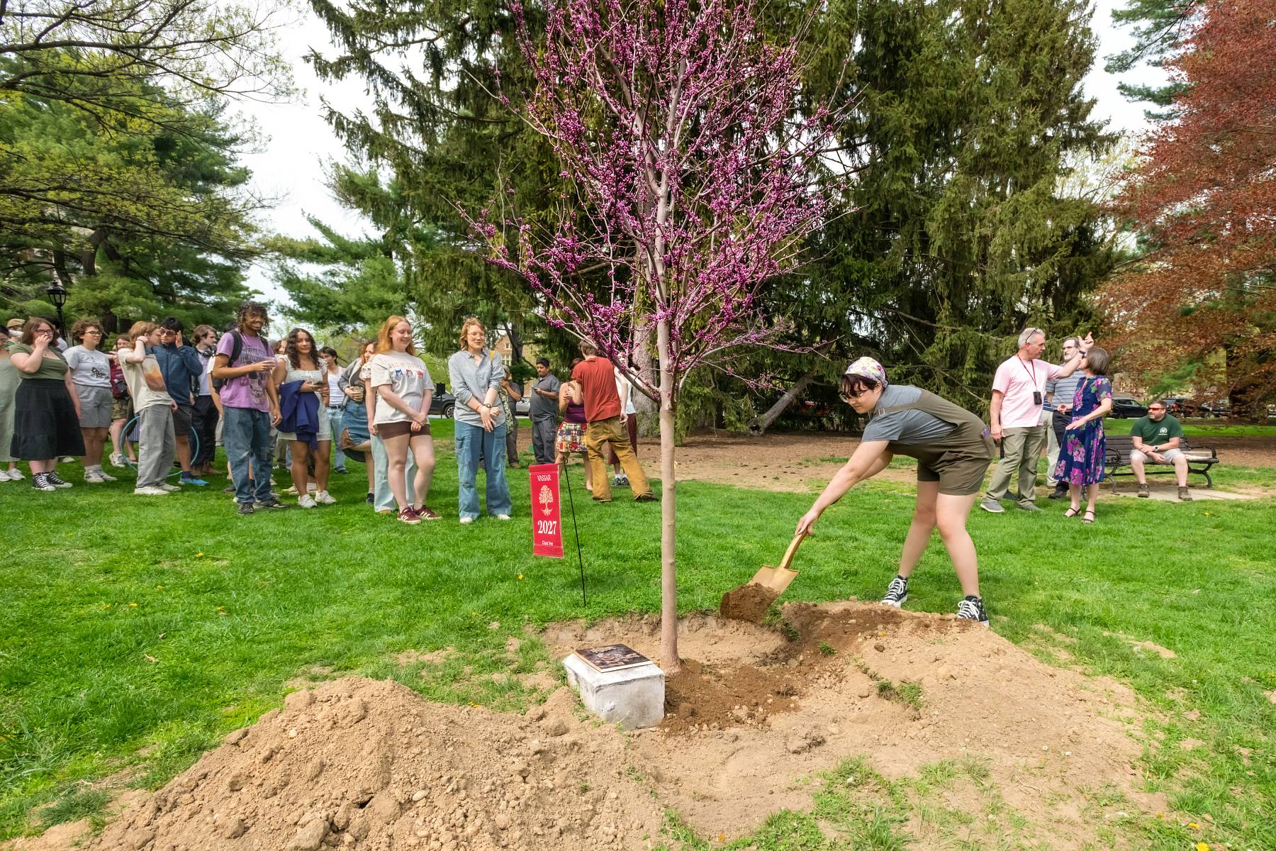 0053-25-04-kr-tree-vassar-0127.jpg