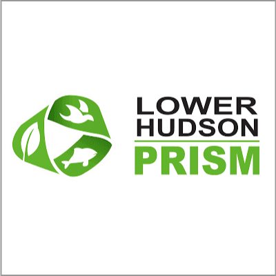 Lower Hudson Valley Prism Logo