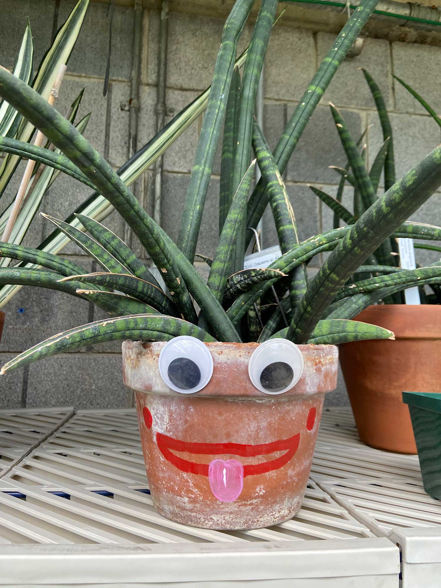 A plant pot with green leaves, google eyes, and a painted smile.