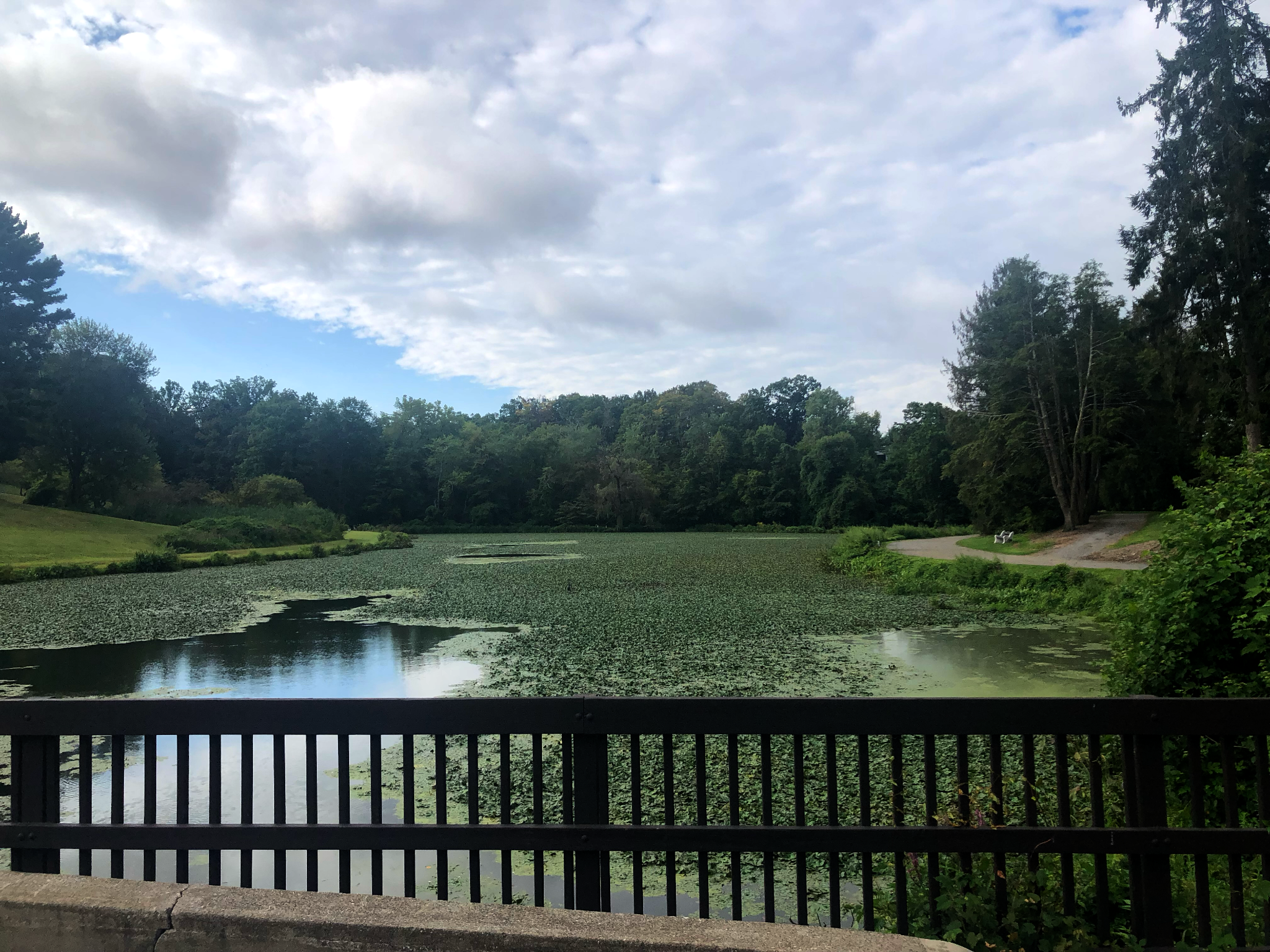 Bridge railing with a small lake and trees behind it.