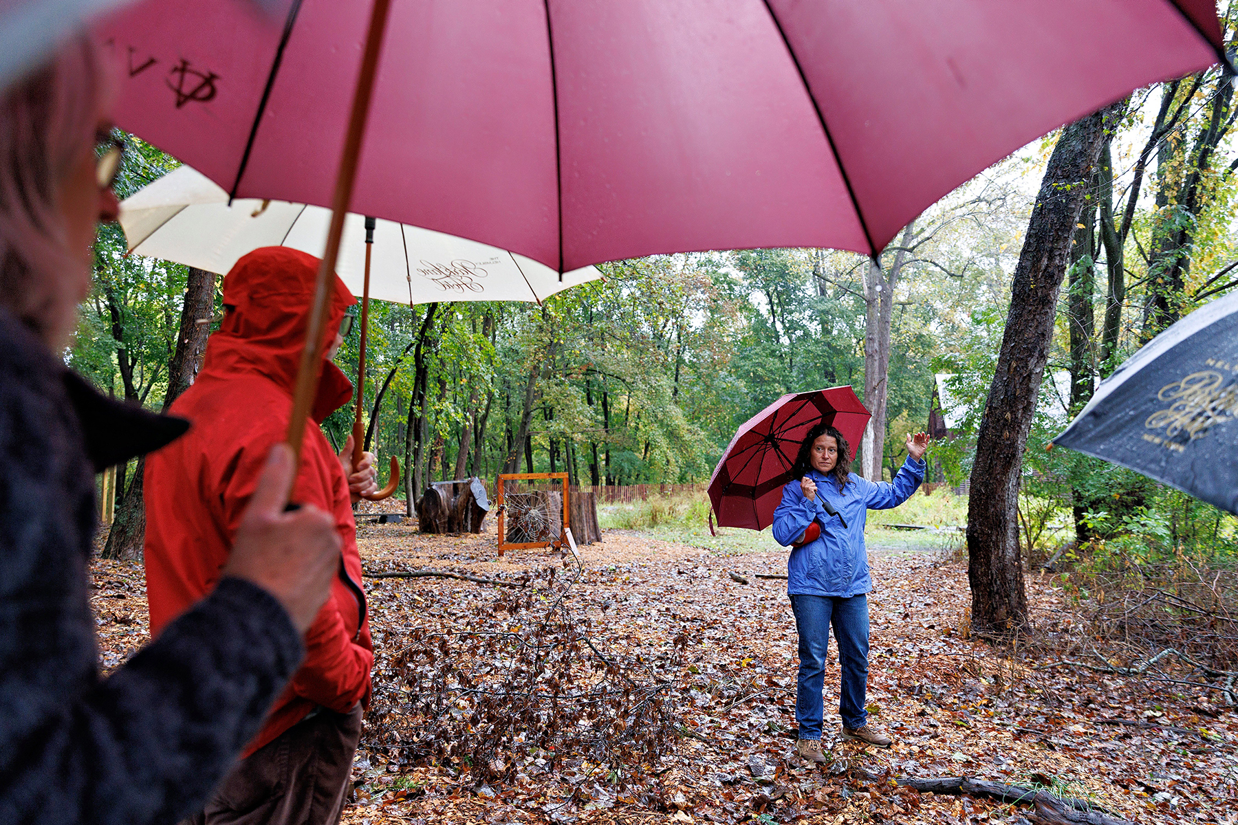 A group of people stands in a wooded area on a rainy day, holding umbrellas. A woman in a blue jacket and jeans with a red umbrella is speaking to others.