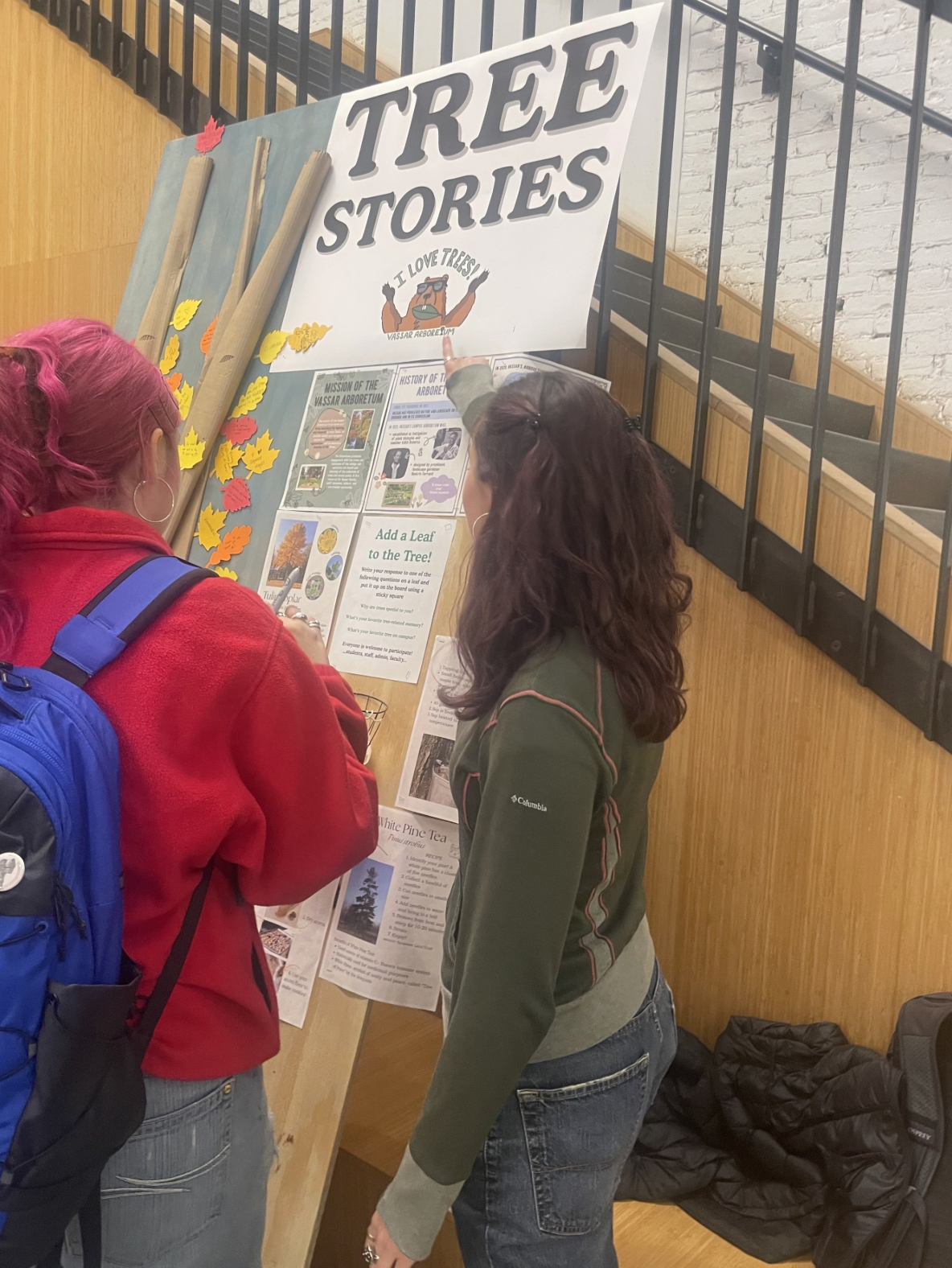 A large poster titled "Tree Stories" is displayed prominently, featuring images of leaves and tree-related information. Two individuals are engaged with the poster, one wearing a bright red jacket and the other in a green and gray outfit. The background consists of wooden paneling, and the space is illuminated by soft, natural light. Various leaf cutouts are attached to the board, along with printed materials discussing tree history and a local tree museum.