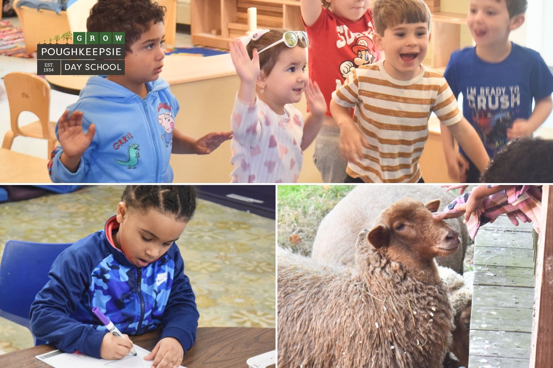 Young children participating in classroom activities, including movement, creative work, and interaction with animals in an early learning environment.